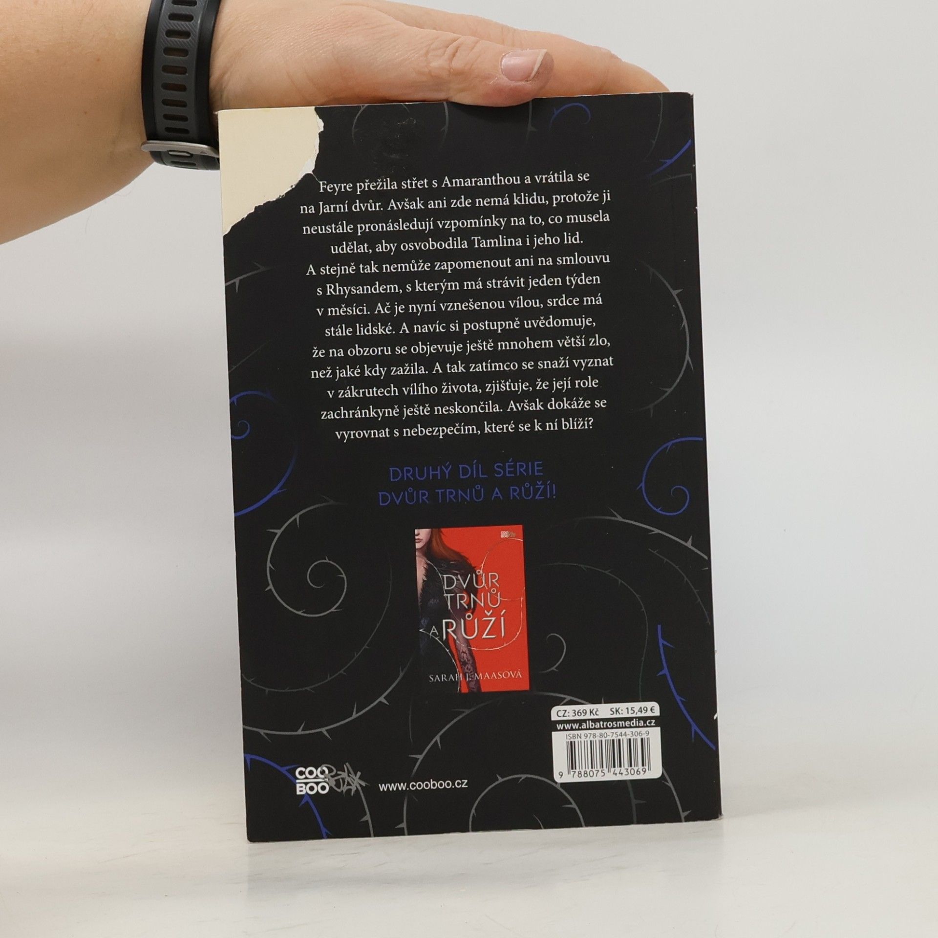 Sarah J. Maas Dvůr mlhy a hněvu