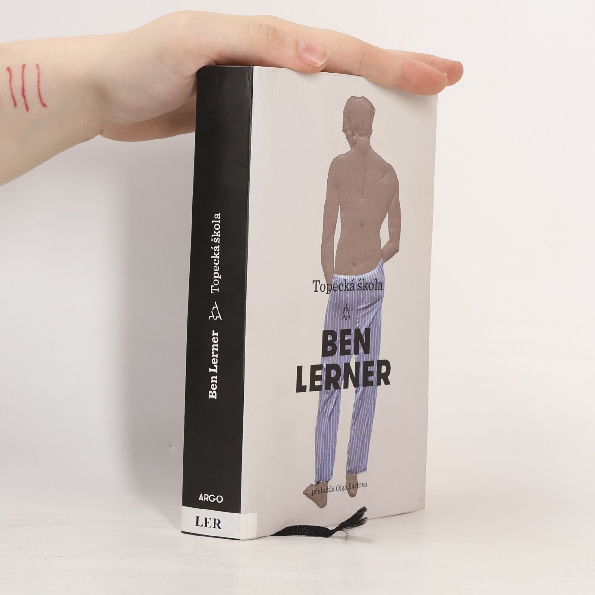 Ben Lerner Topecká škola
