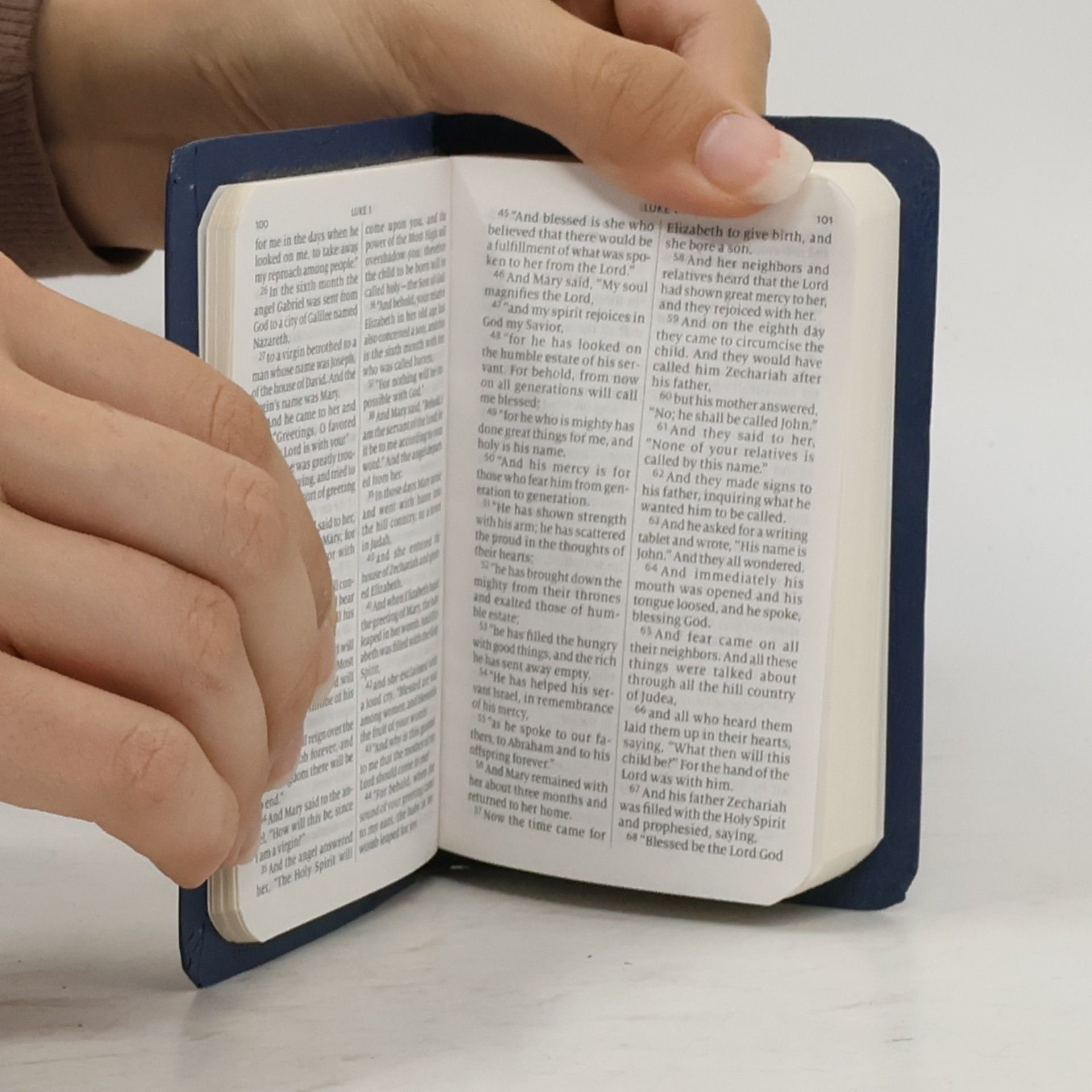 Kolektiv autorů The New Testament with Psalms and Proverbs