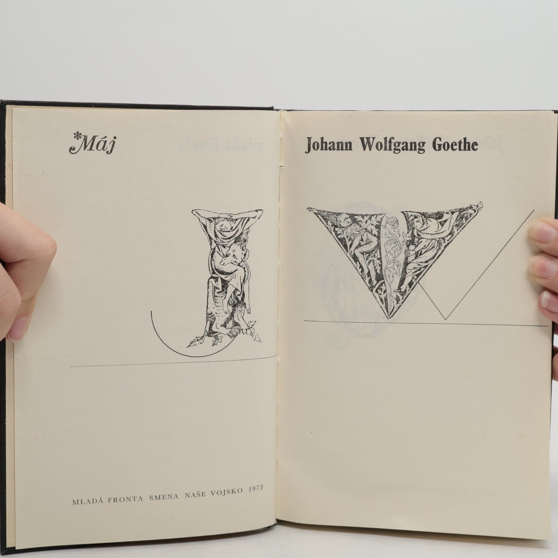 Johann Wolfgang von Goethe Faust