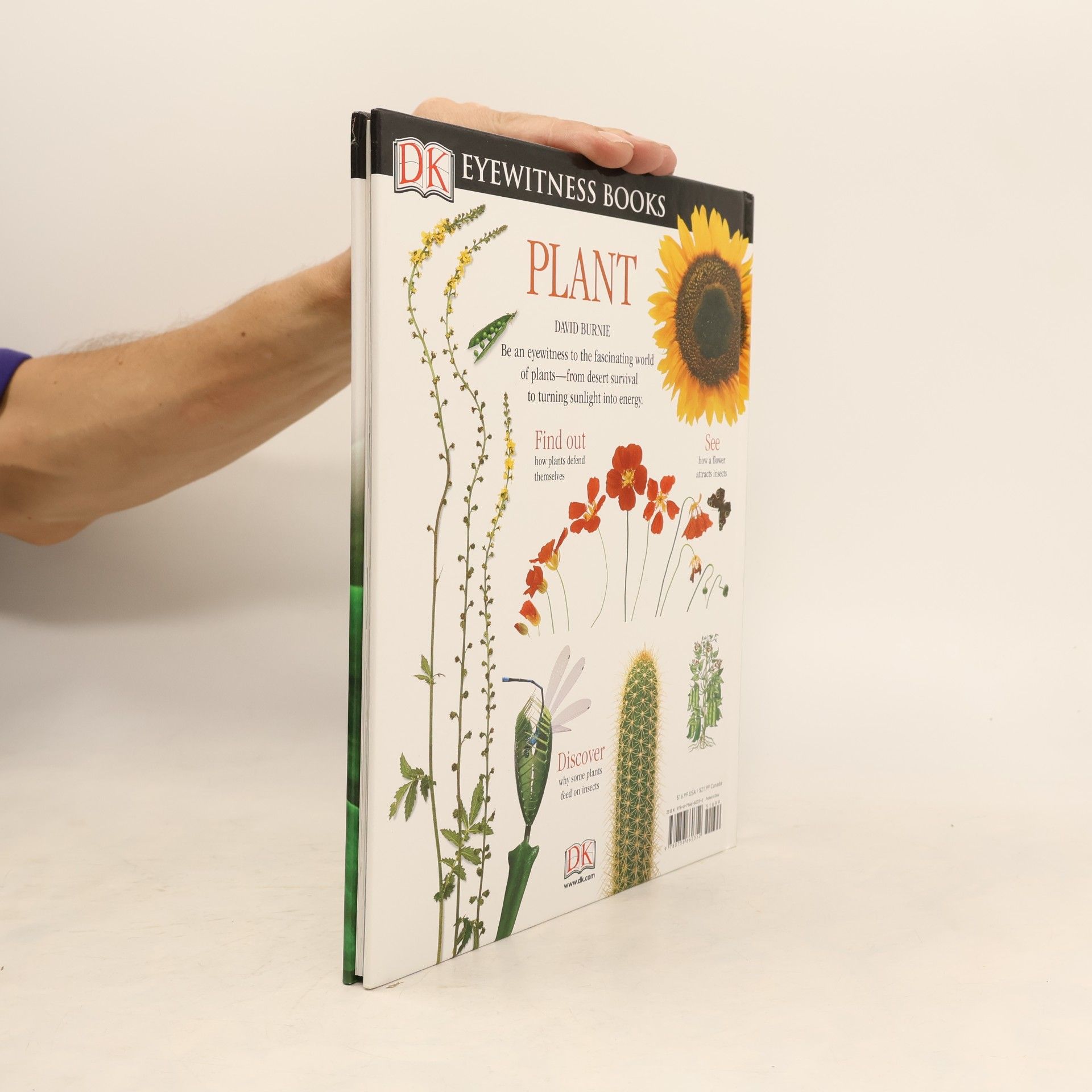 David Burnie DK Eyewitness Books: Plant