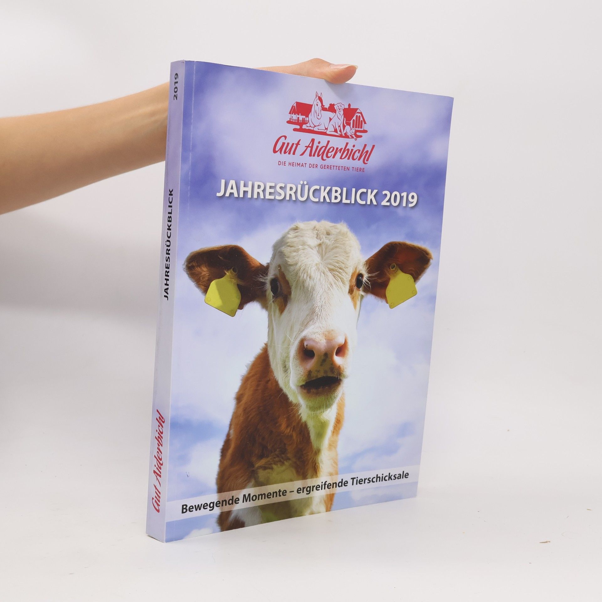 kolektiv Jahresrückblick 2019