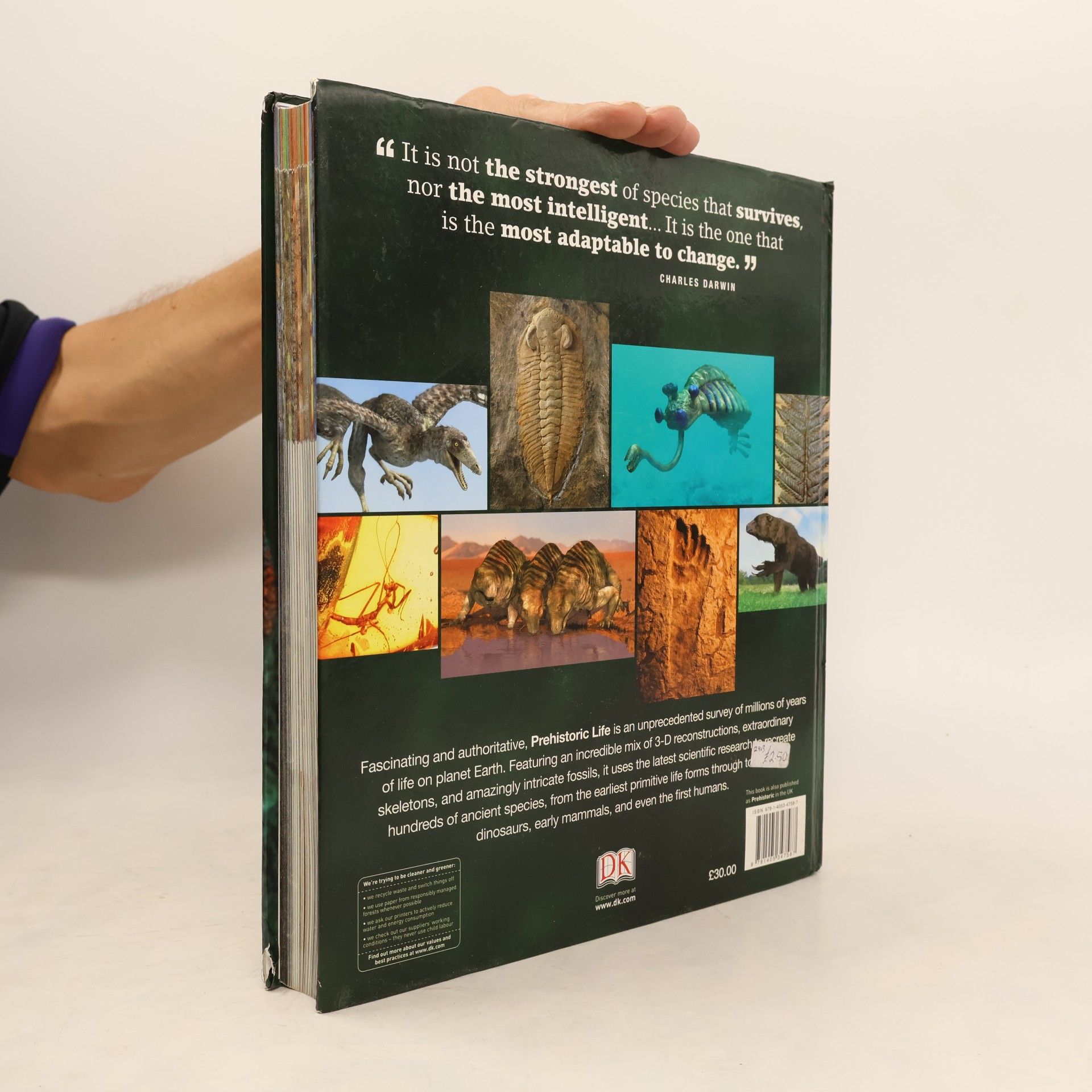 D.K. Publishing Prehistoric Life