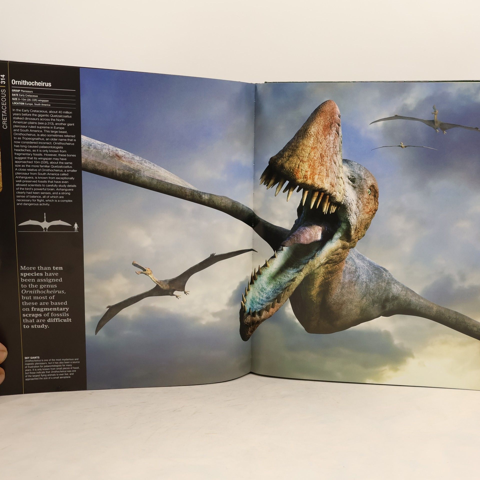 D.K. Publishing Prehistoric Life