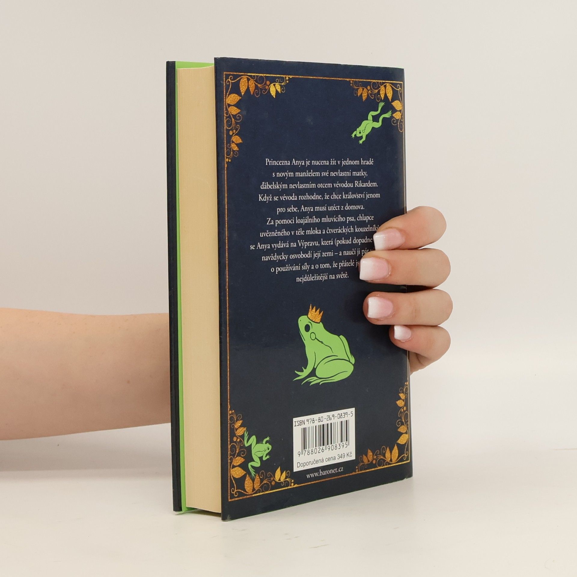 Garth Nix Žabí polibek