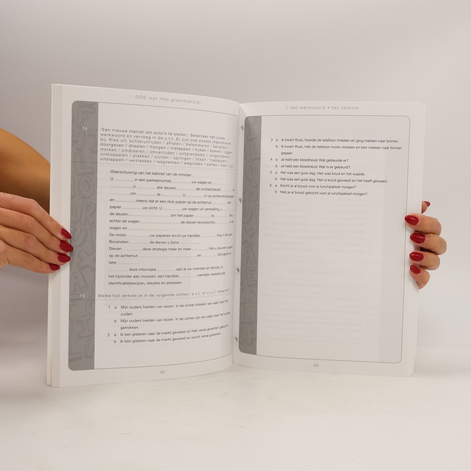 Marian Goossens Nederlands voor anderstaligen - 2: Doe wat met grammatica!