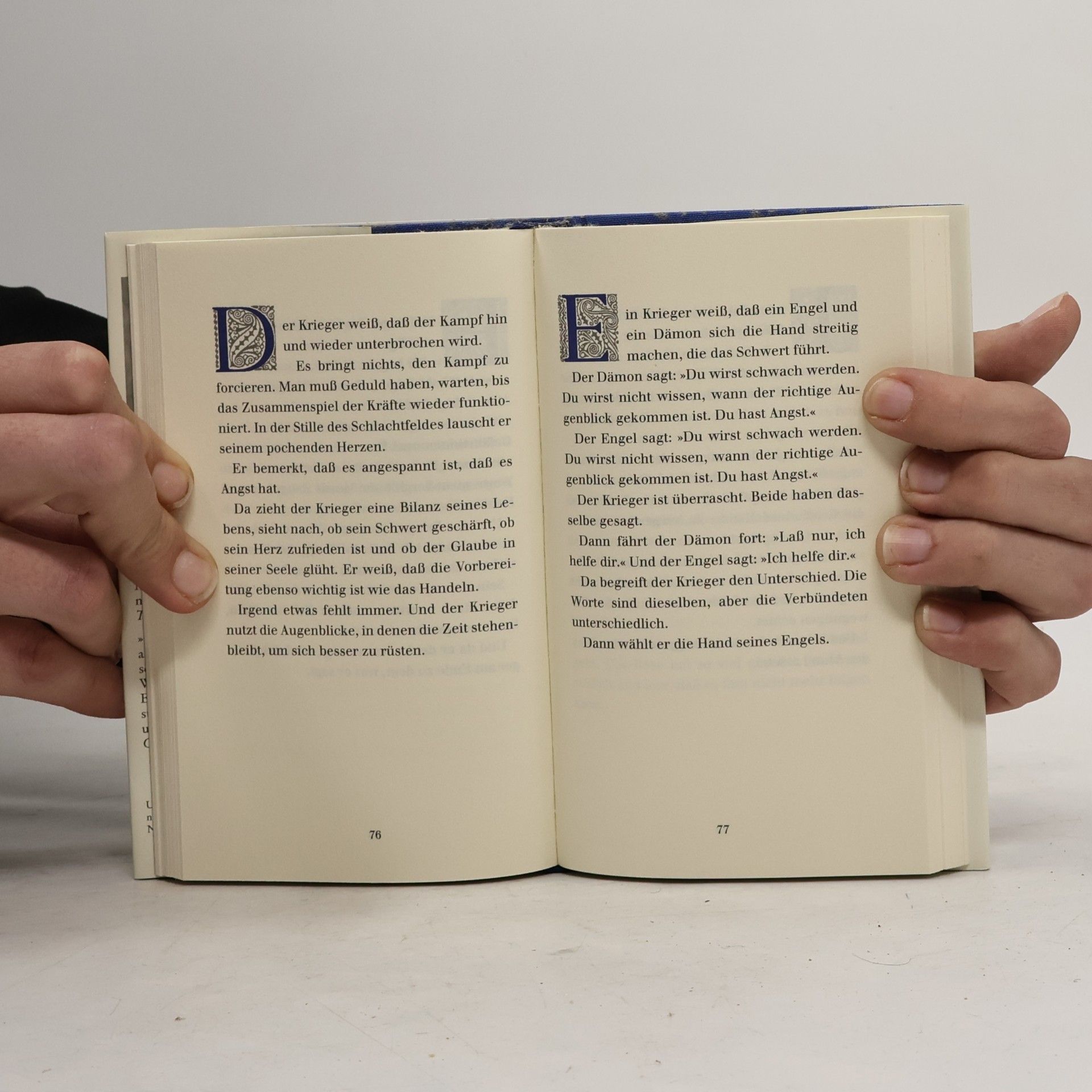 Paulo Coelho Handbuch des Kriegers des Lichts