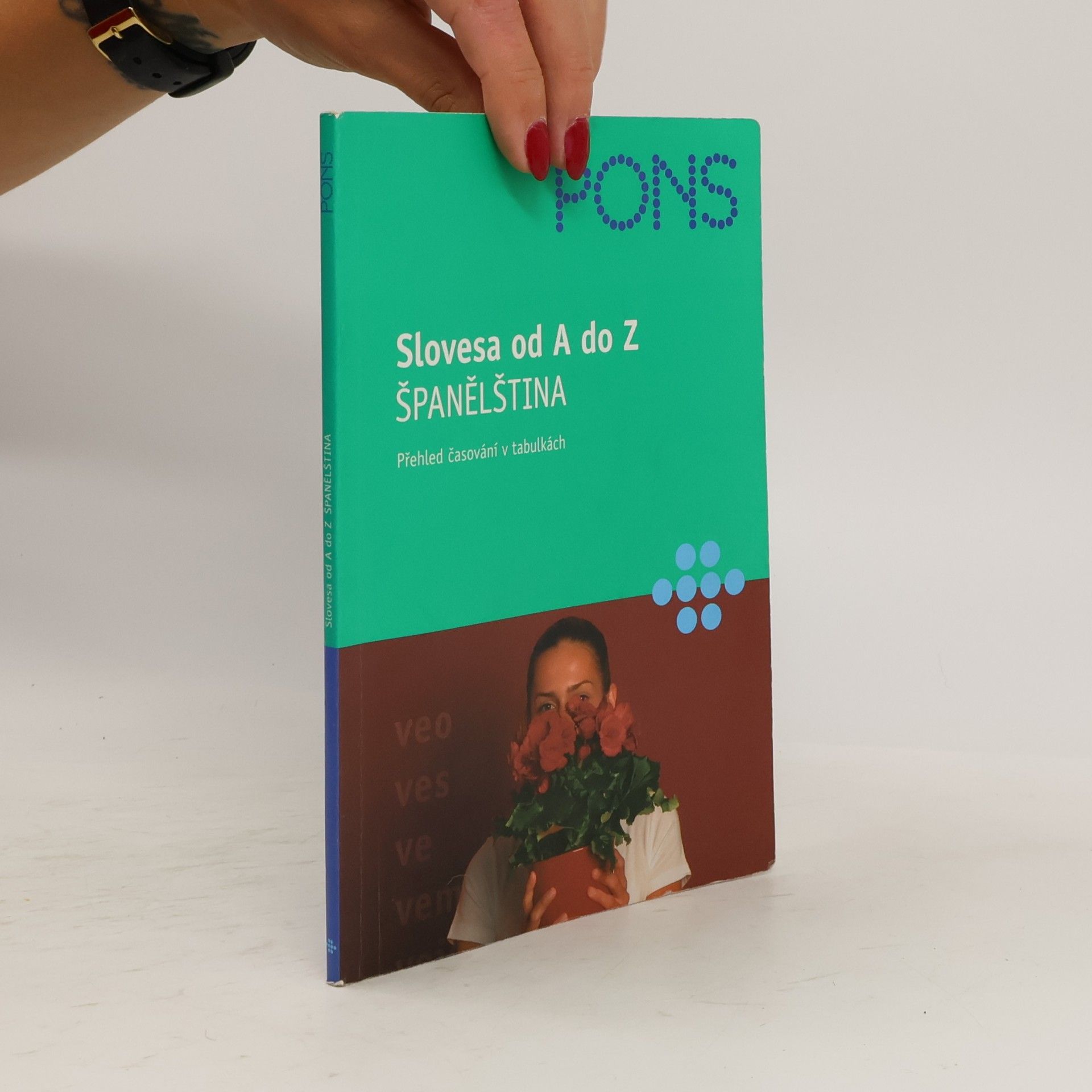 Carlos Segoviano Slovesa od A do Z. Španělština