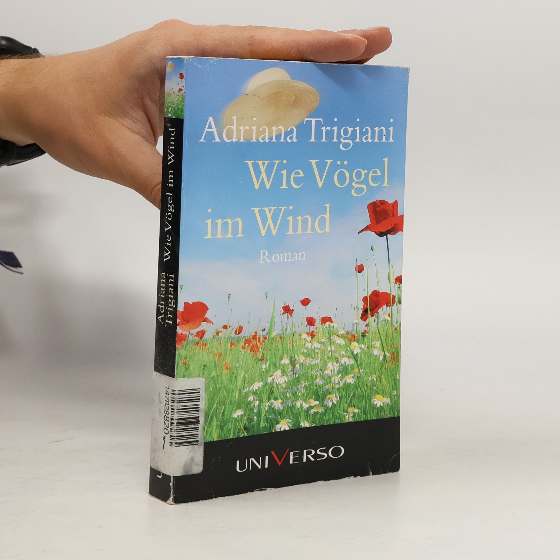 Adriana Trigiani Wie Vögel im Wind