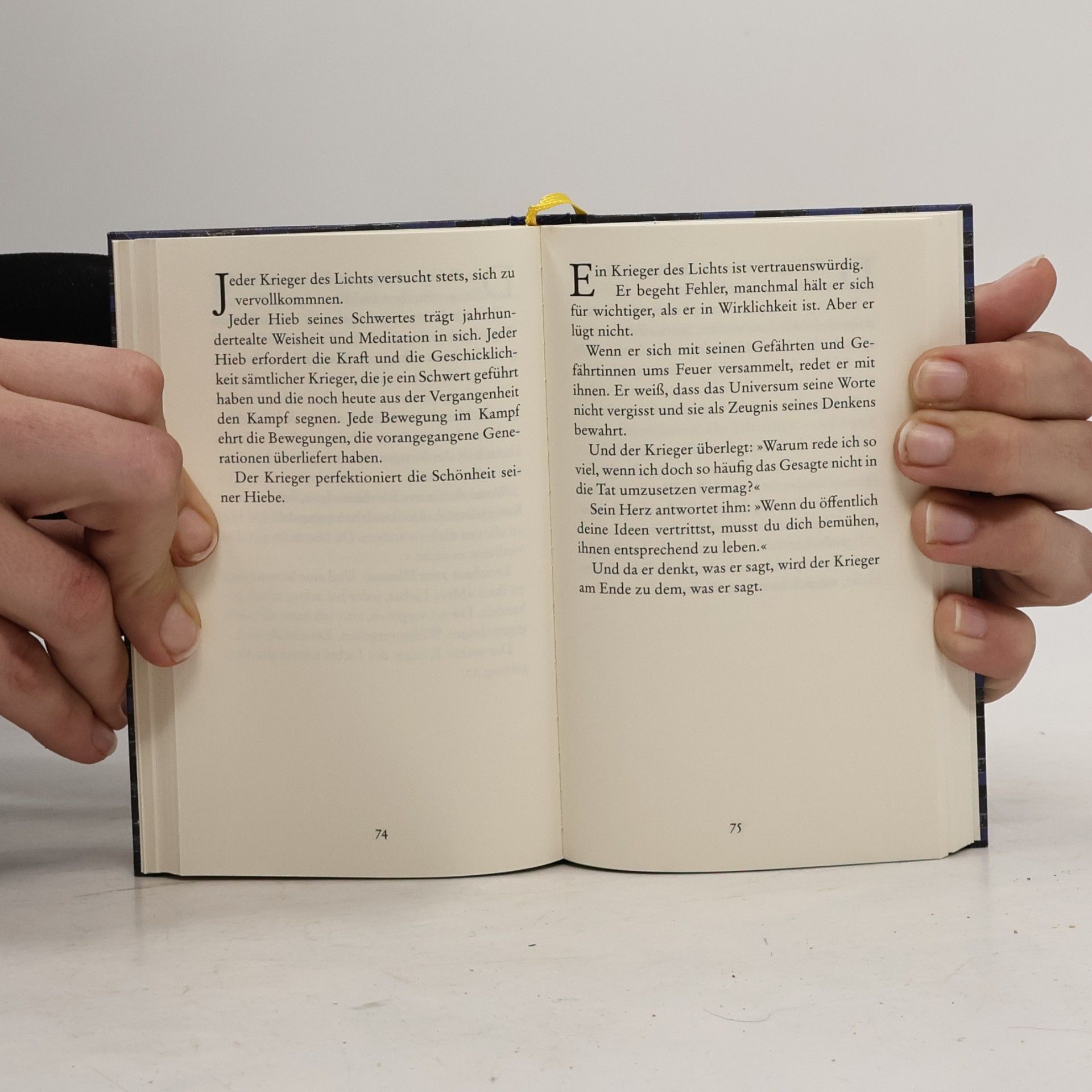 Paulo Coelho Handbuch des Kriegers des Lichts