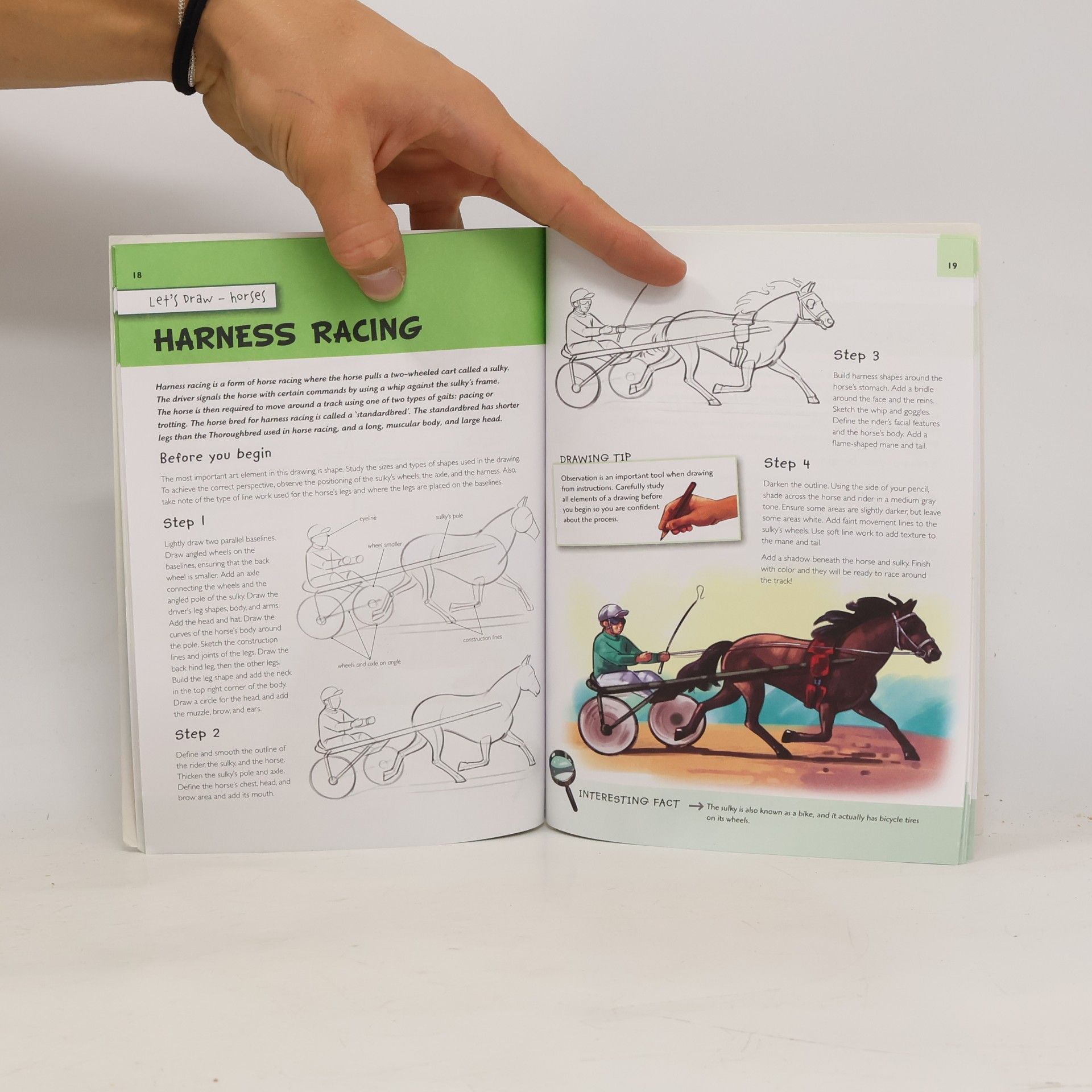Paul Könye Let's Draw Horses