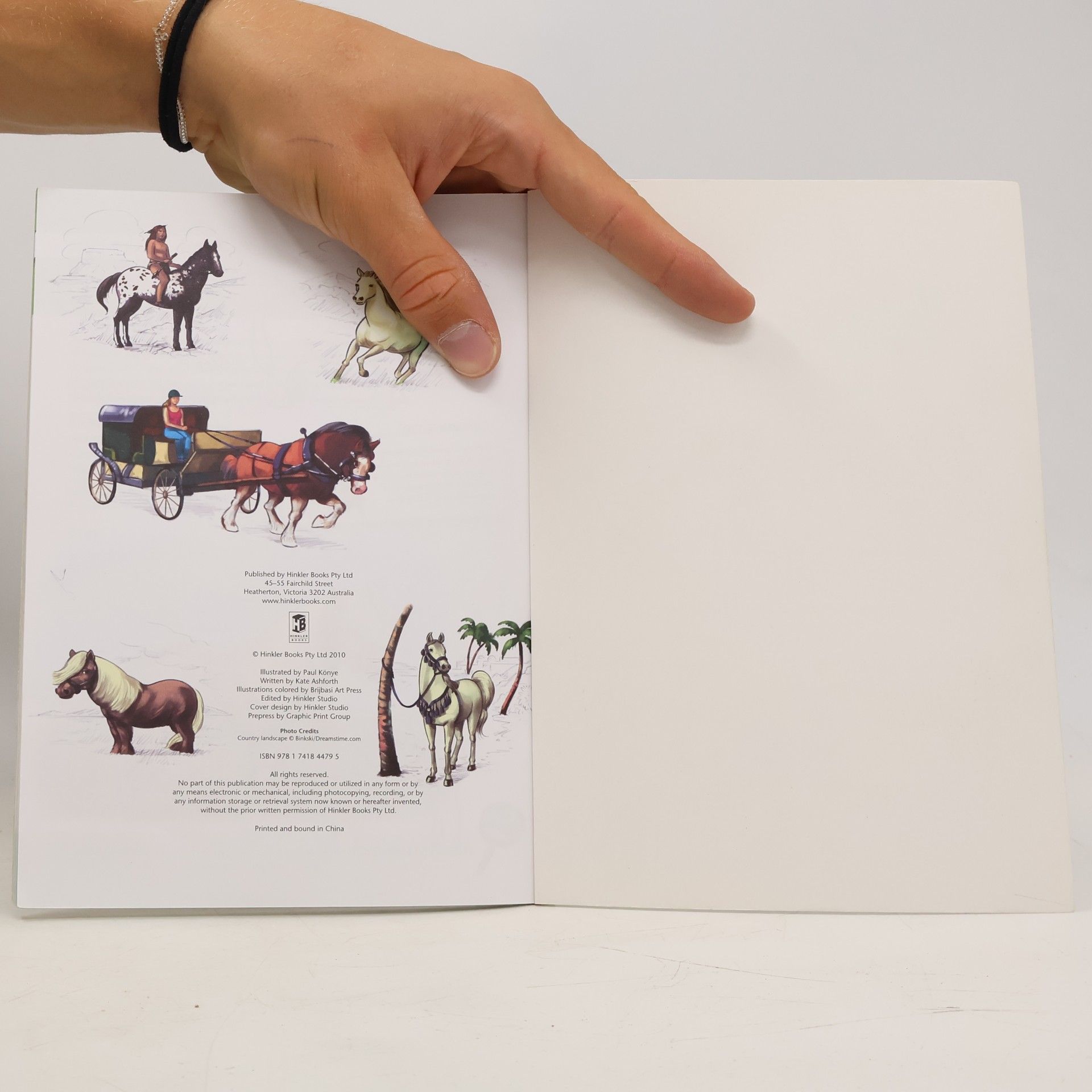 Paul Könye Let's Draw Horses
