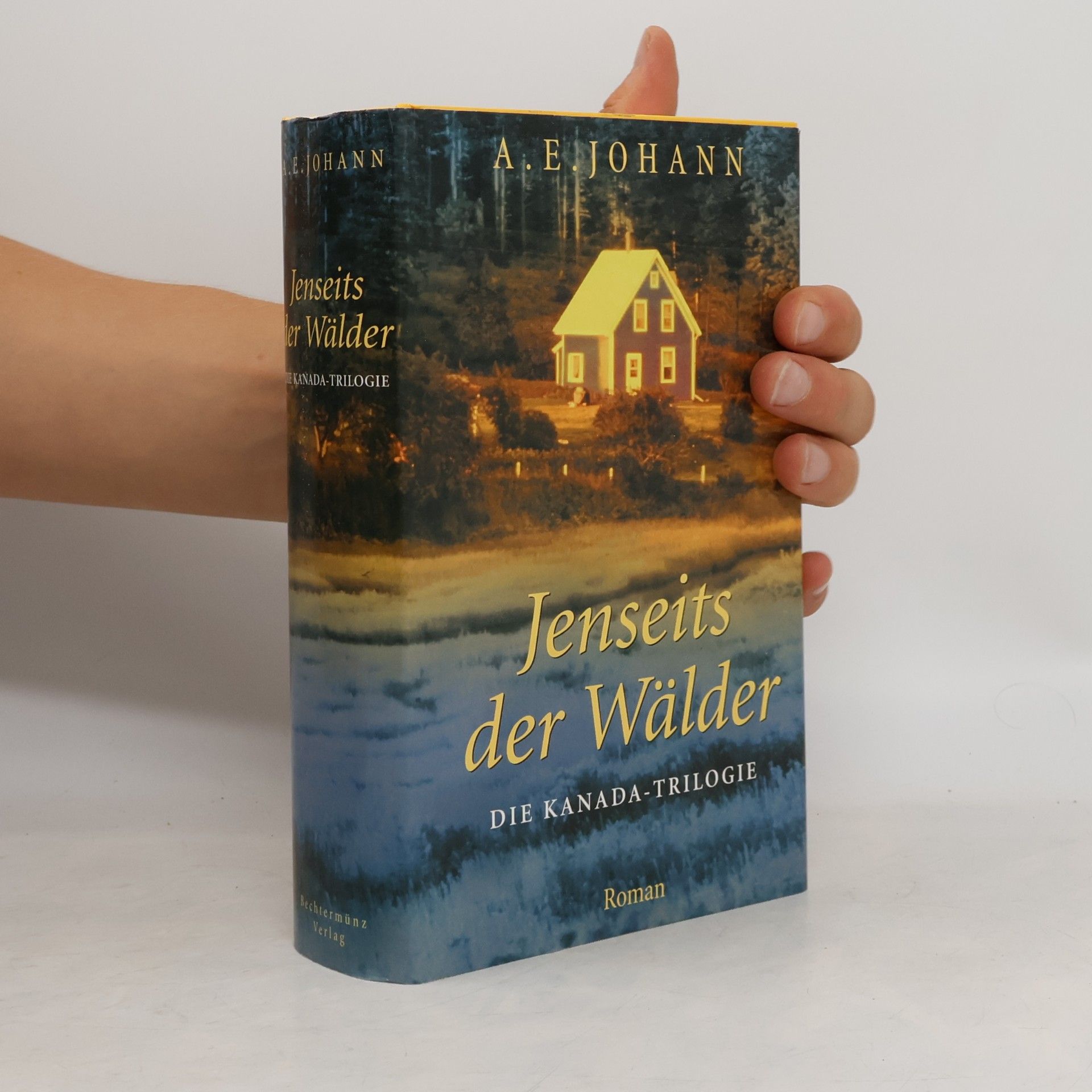 Alfred E. Johann Jenseits der Wälder