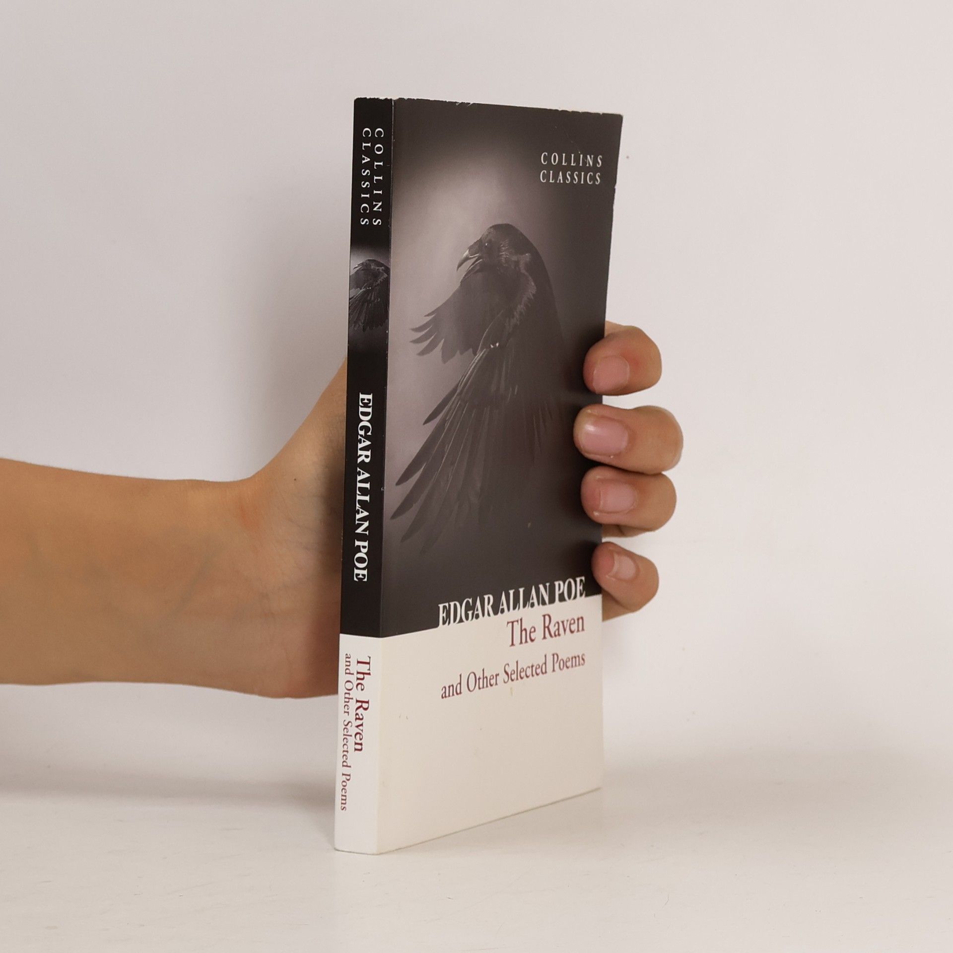 Edgar Allan Poe The raven and other selected poems