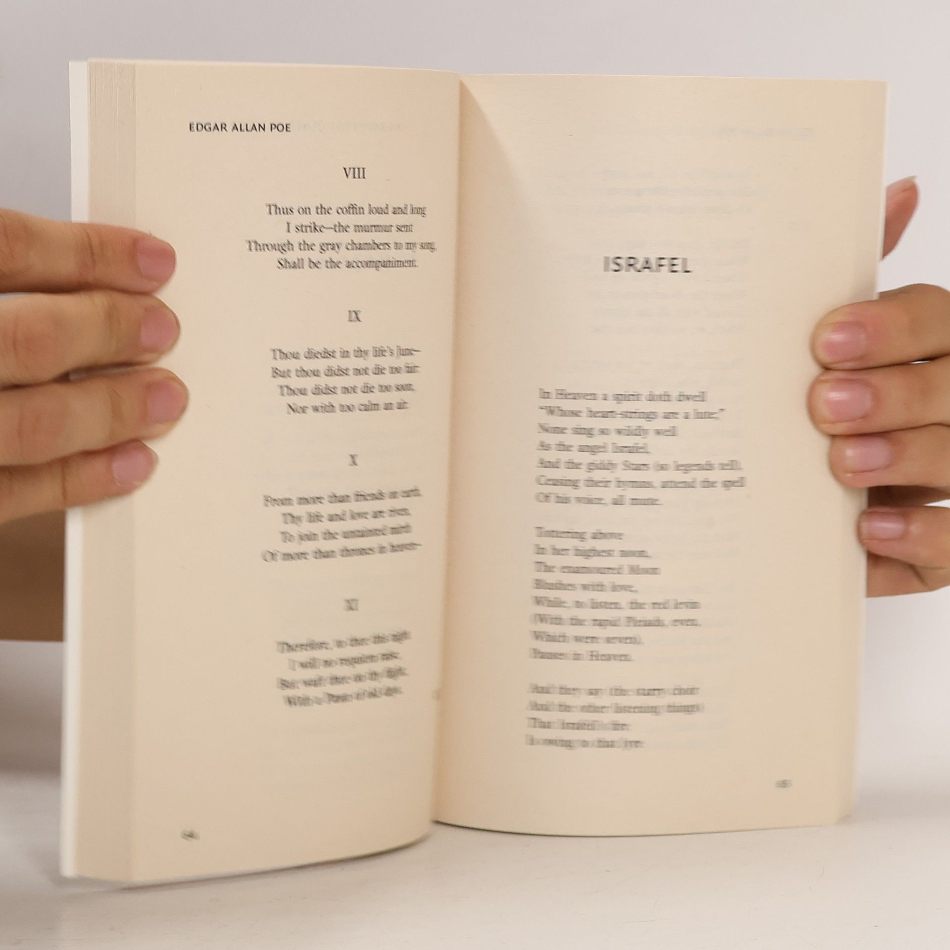 Edgar Allan Poe The raven and other selected poems