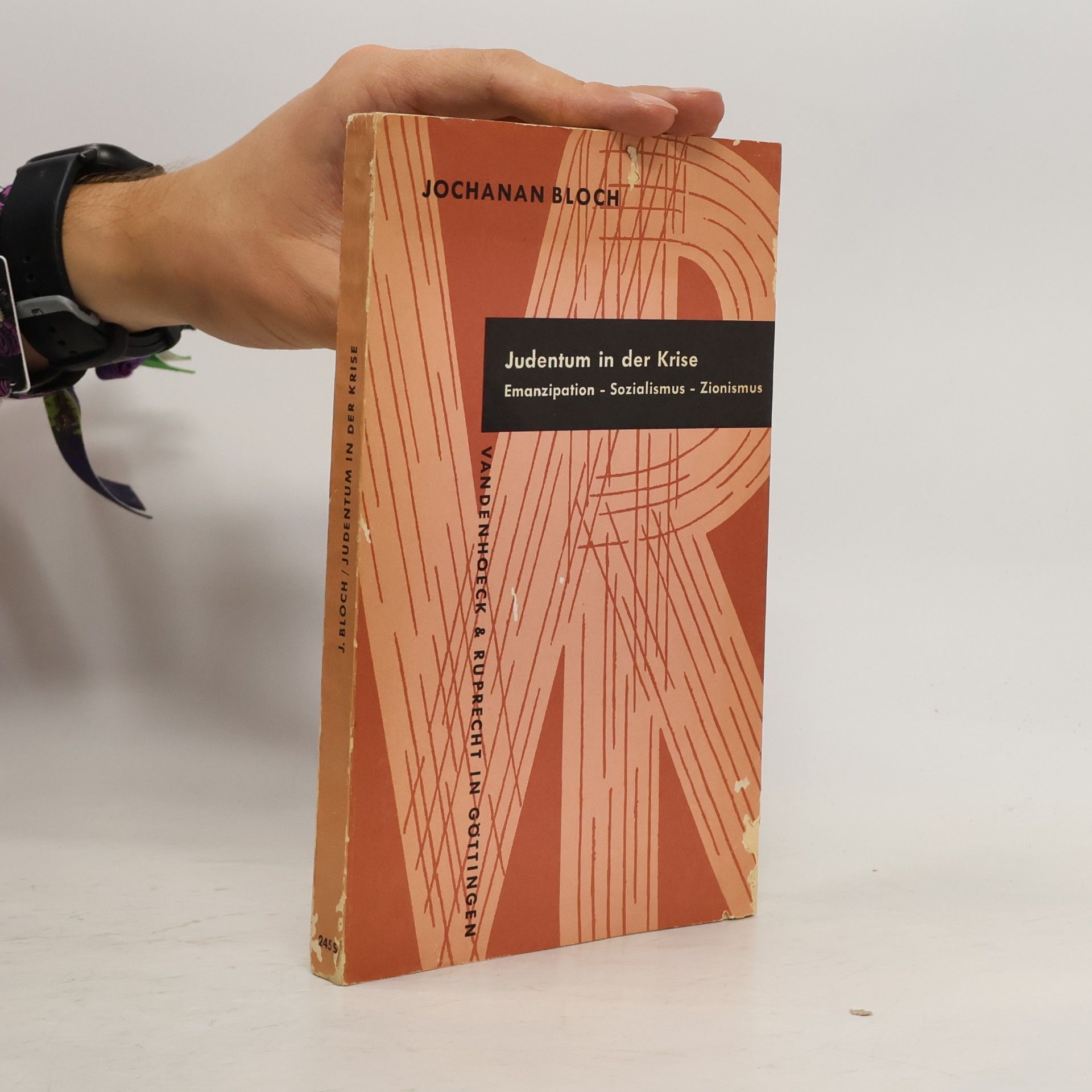 Jochanan Bloch Judentum in der Krise : Emanzipation, Sozialismus und Zionismus