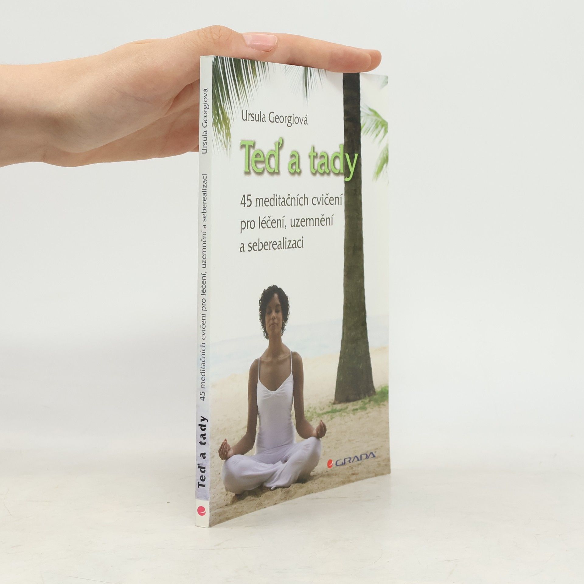Ursula Georgii Teď a tady. 45 meditačních cvičení pro léčení, uzemnění a seberealizaci