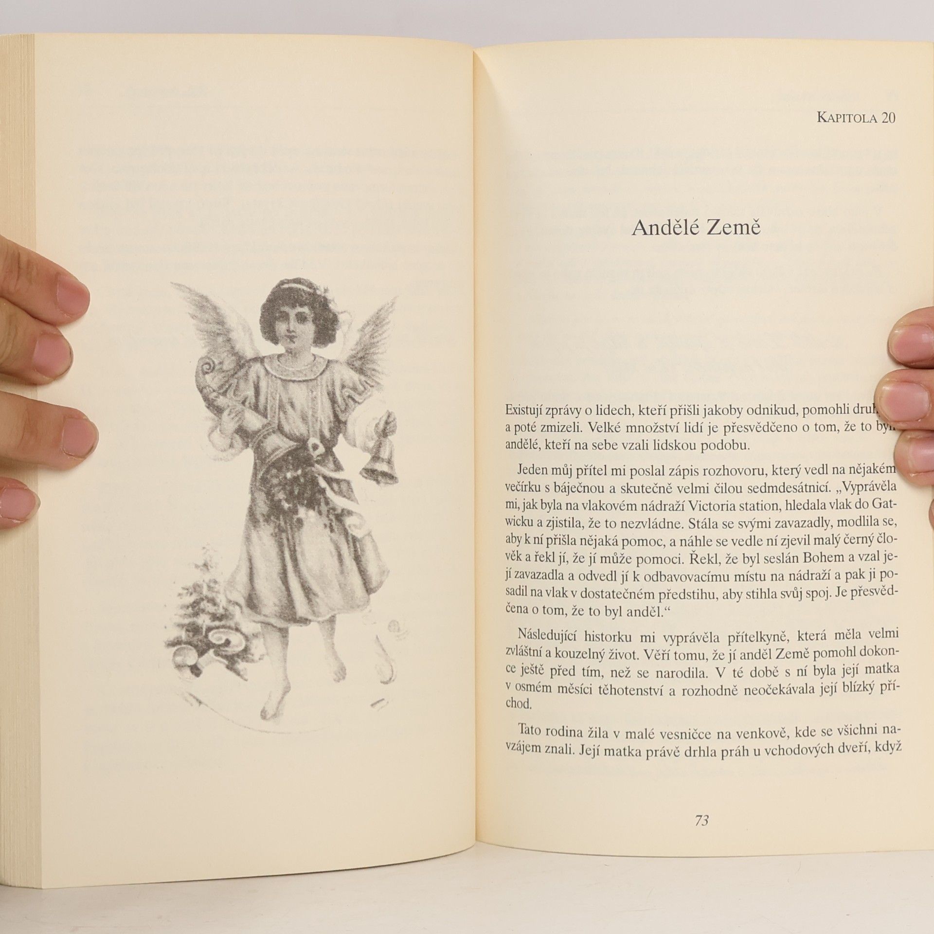 Diana Cooper Světla andělů. Andělé nám pomáhají