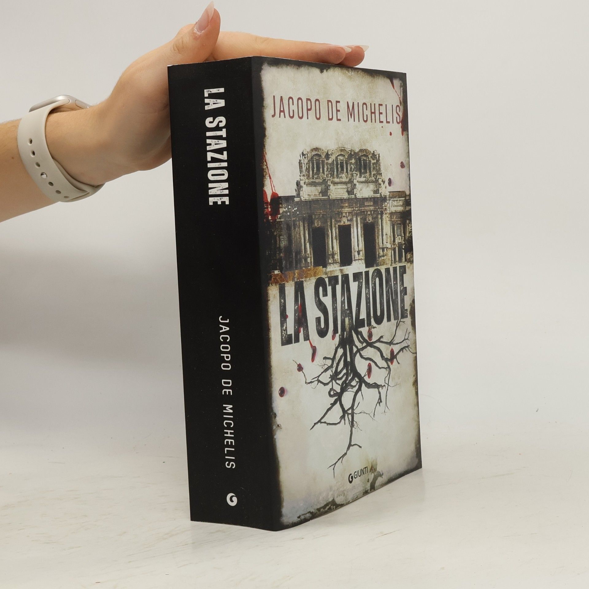 Jacopo De Michelis La stazione