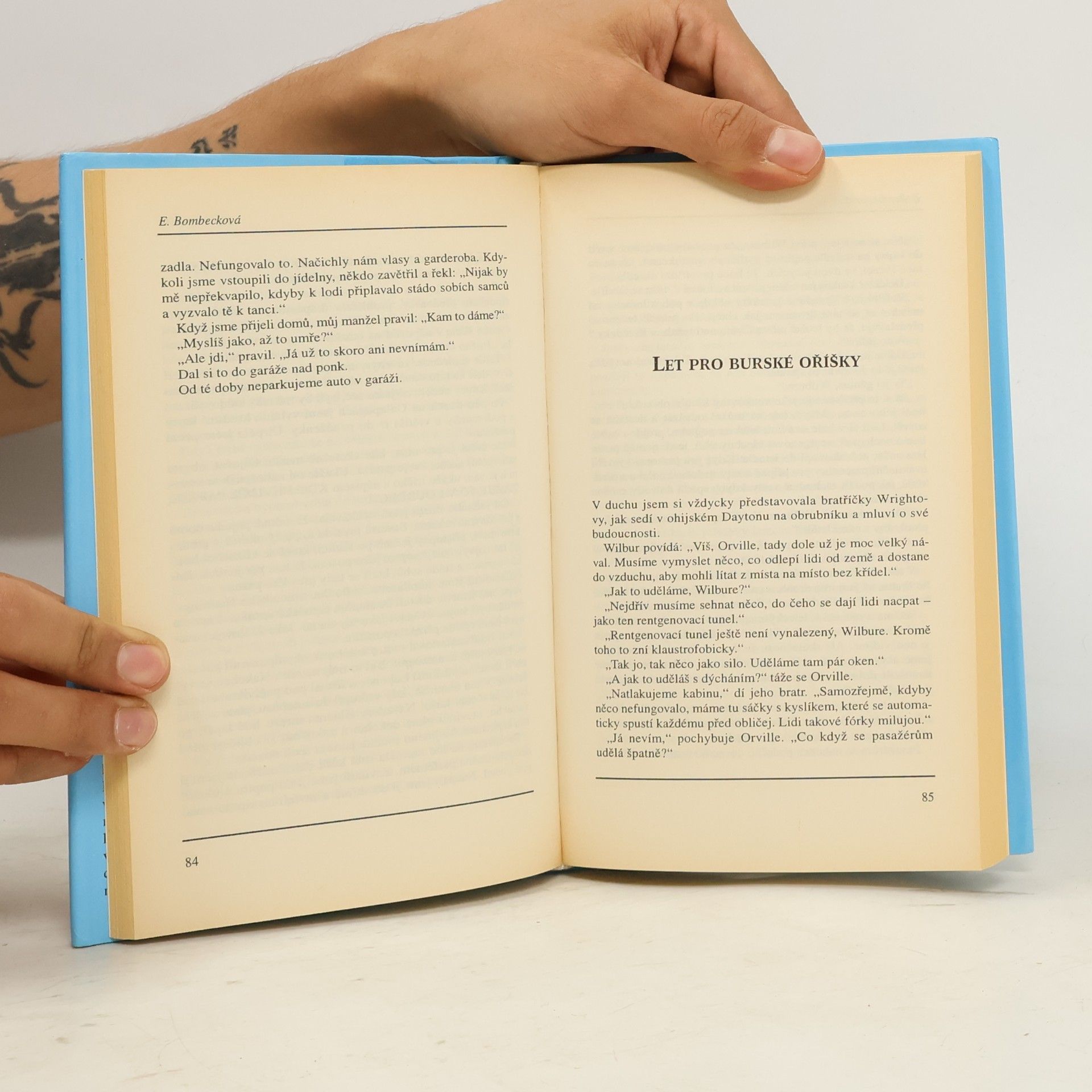 Erma Bombeck Jak (ne)zvládnout cestování
