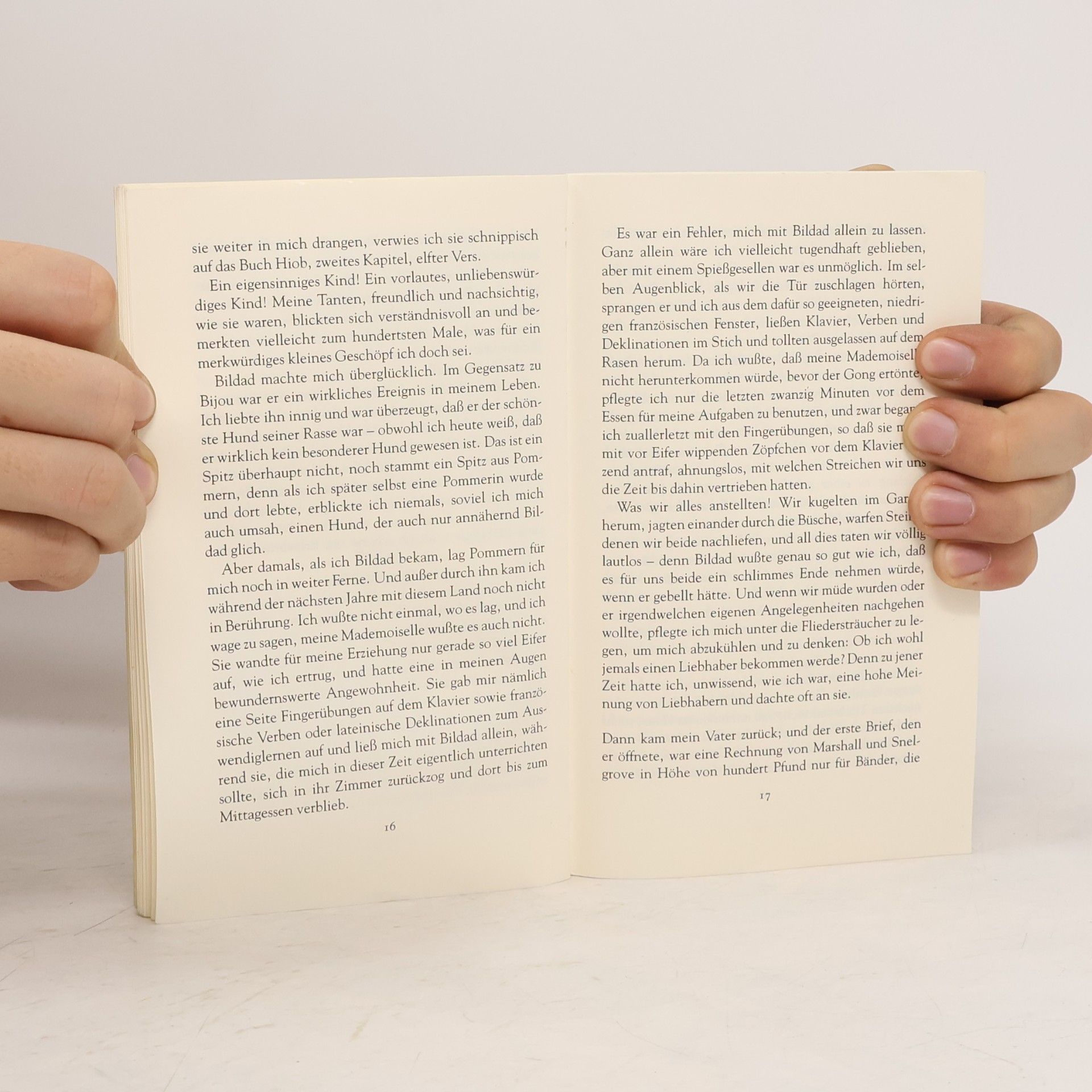 Elizabeth von Arnim Alle meine Hunde