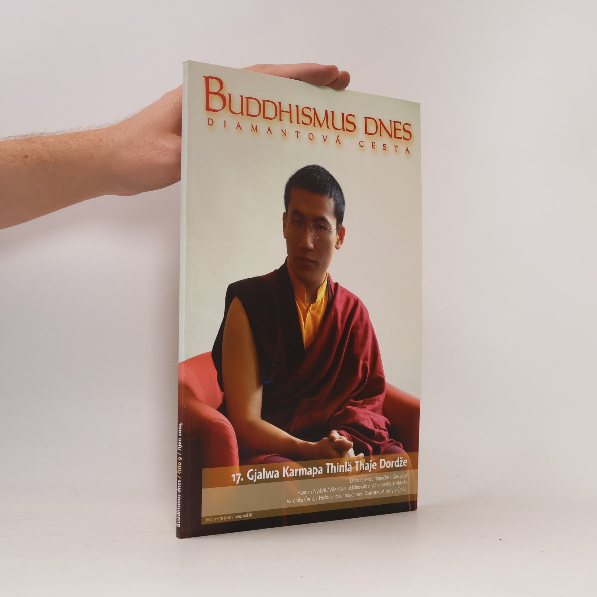 kolektiv Buddhismus dnes. Diamantová cesta