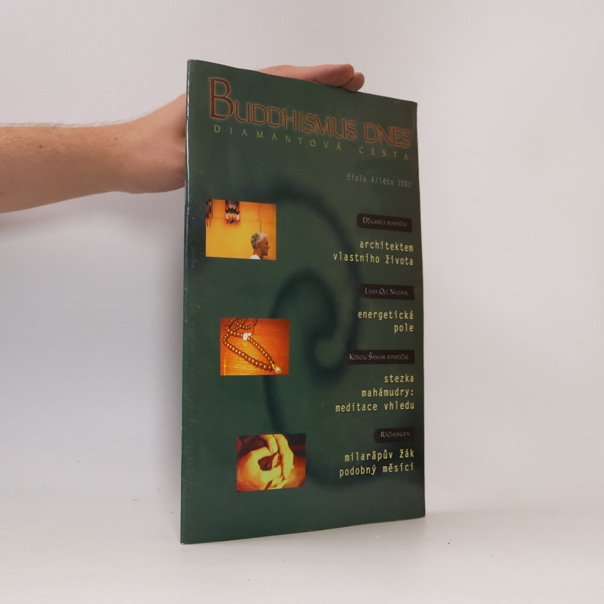 kolektiv Buddhismus dnes. Diamantová cesta 4/2001