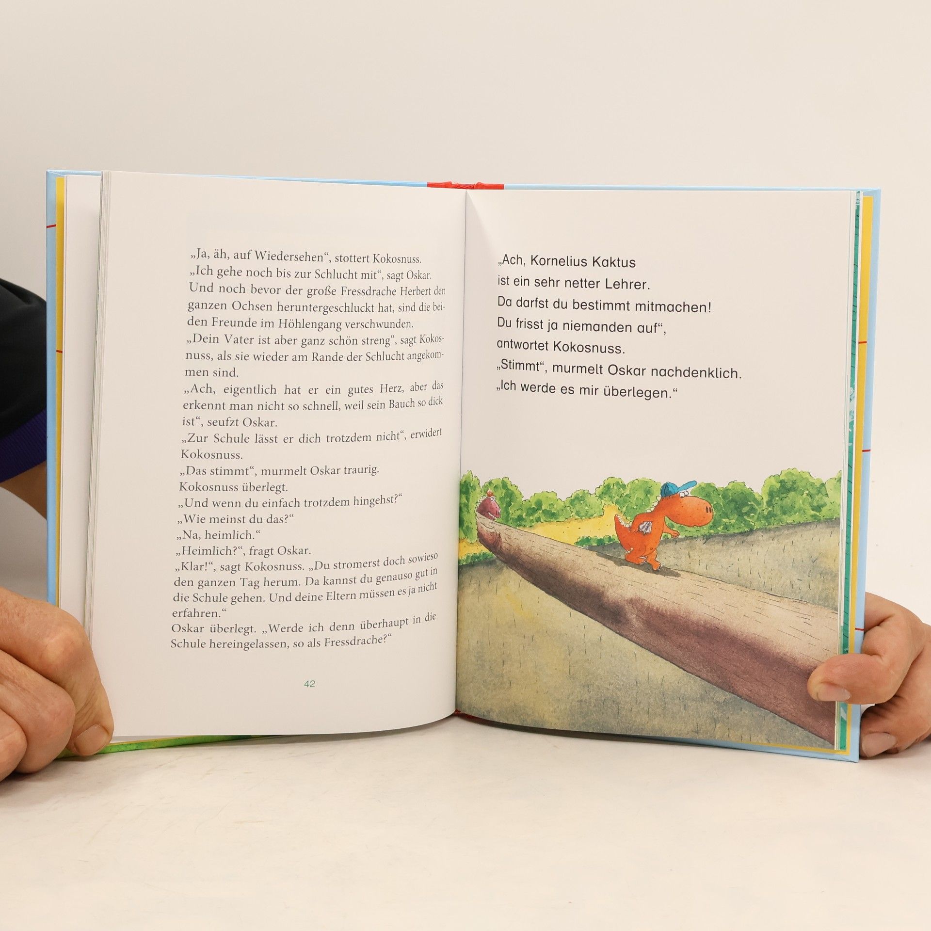 Ingo Seigner Der kleine Drache Kokosnuss kommt in die Schule