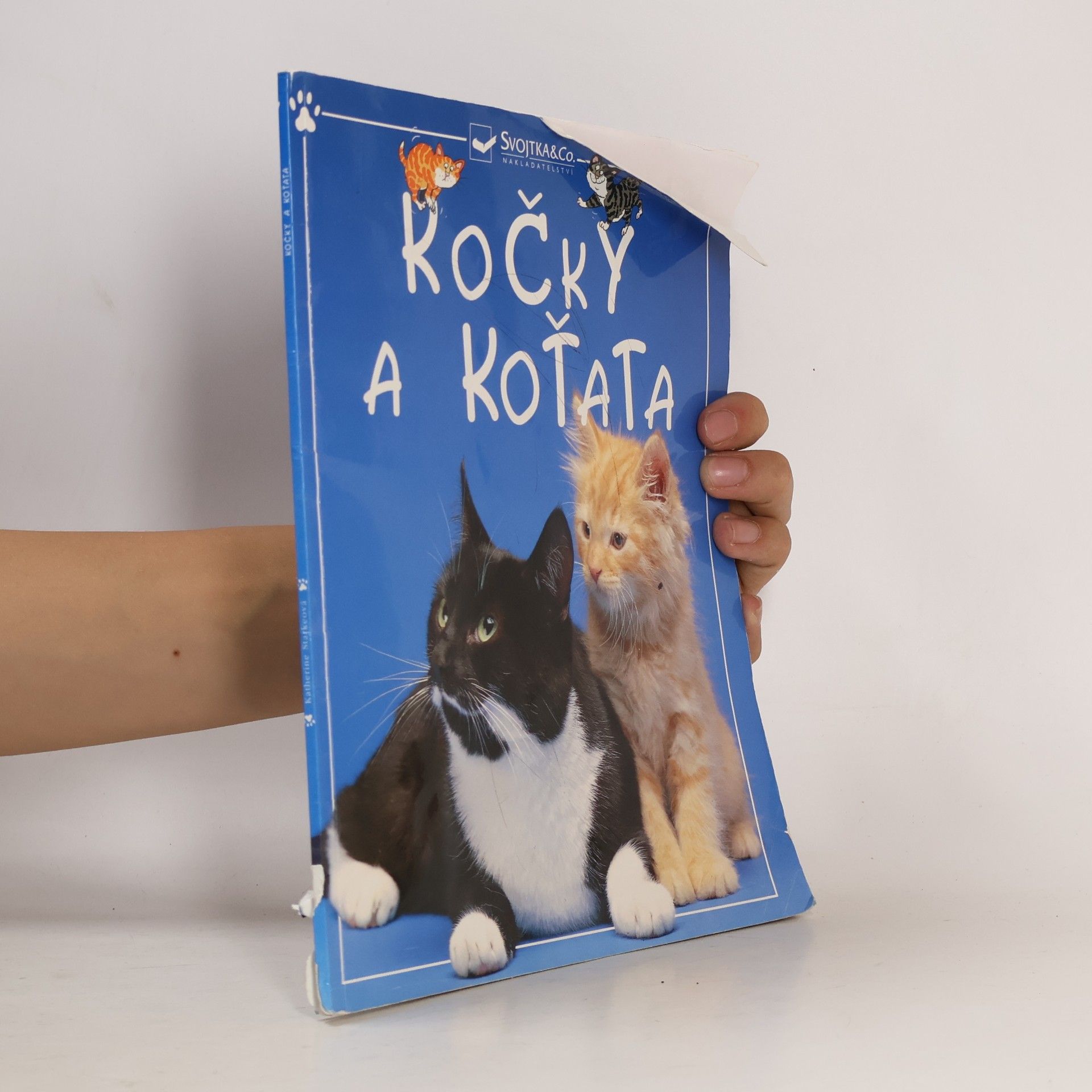 Various authors Kočky a koťata