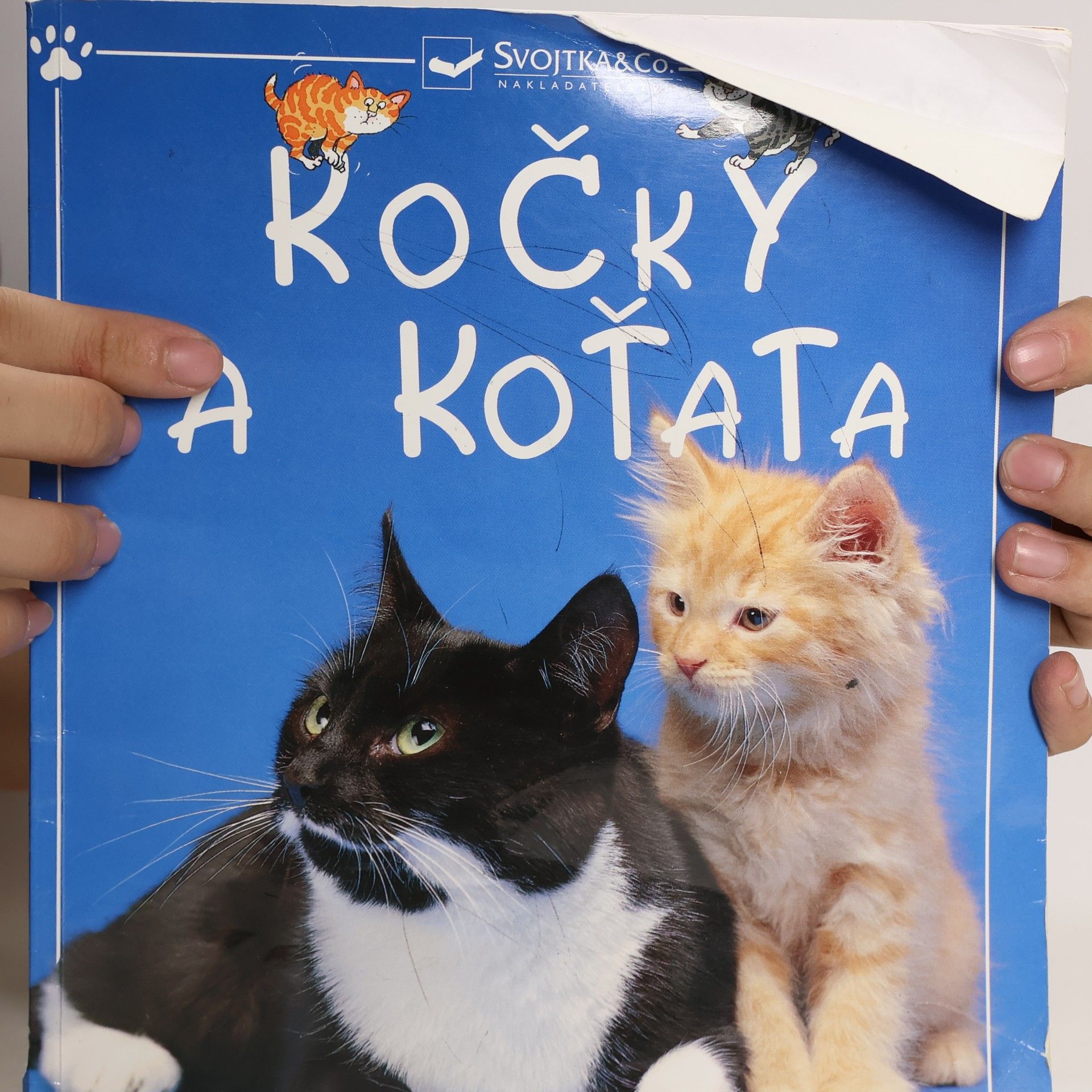 Various authors Kočky a koťata