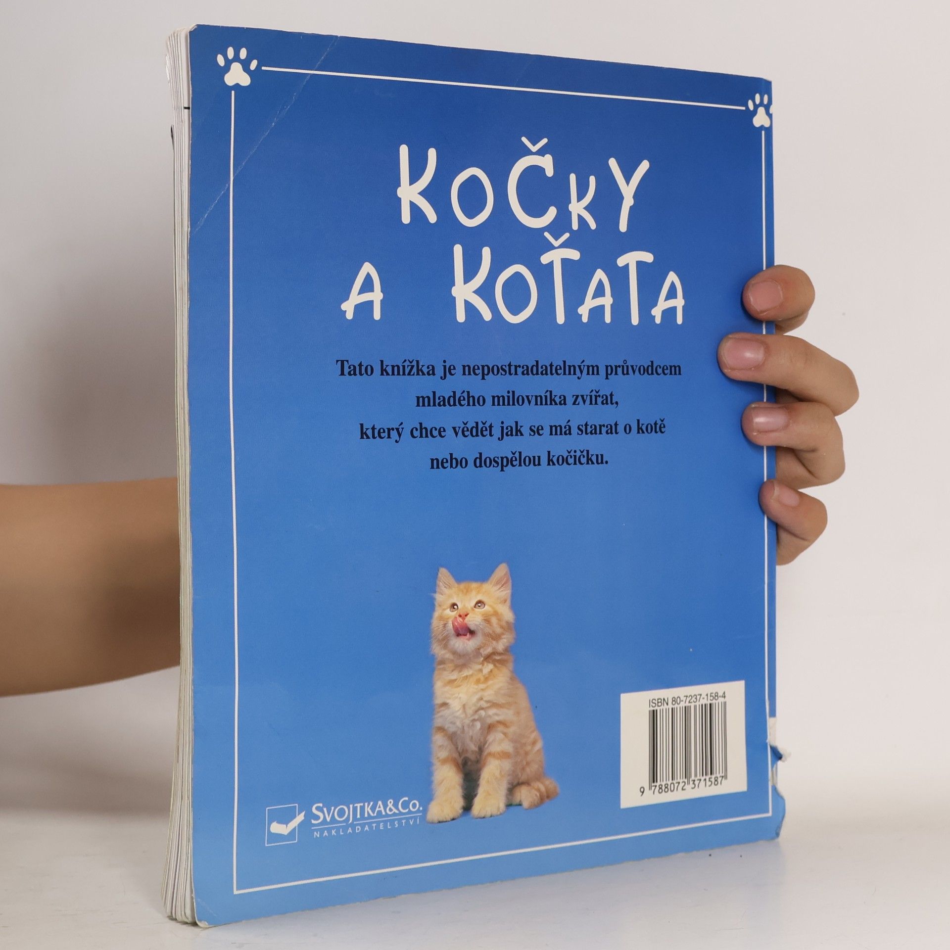 Various authors Kočky a koťata