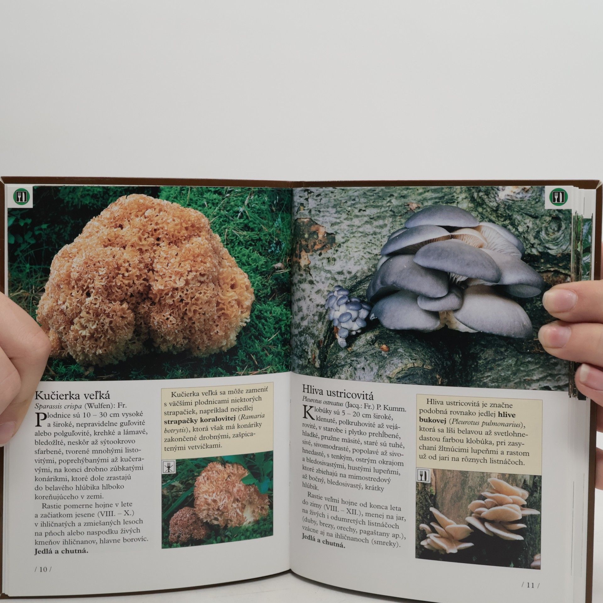 Collectif d'auteurs Vreckový atlas húb