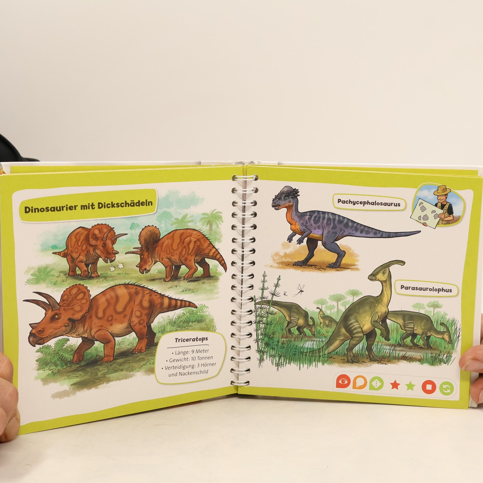 Autorenkollektiv Pocket Wissen. Dinosaurier