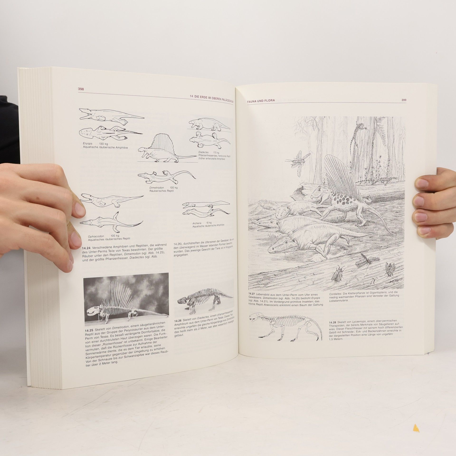 Steven M. Stanley Historische Geologie