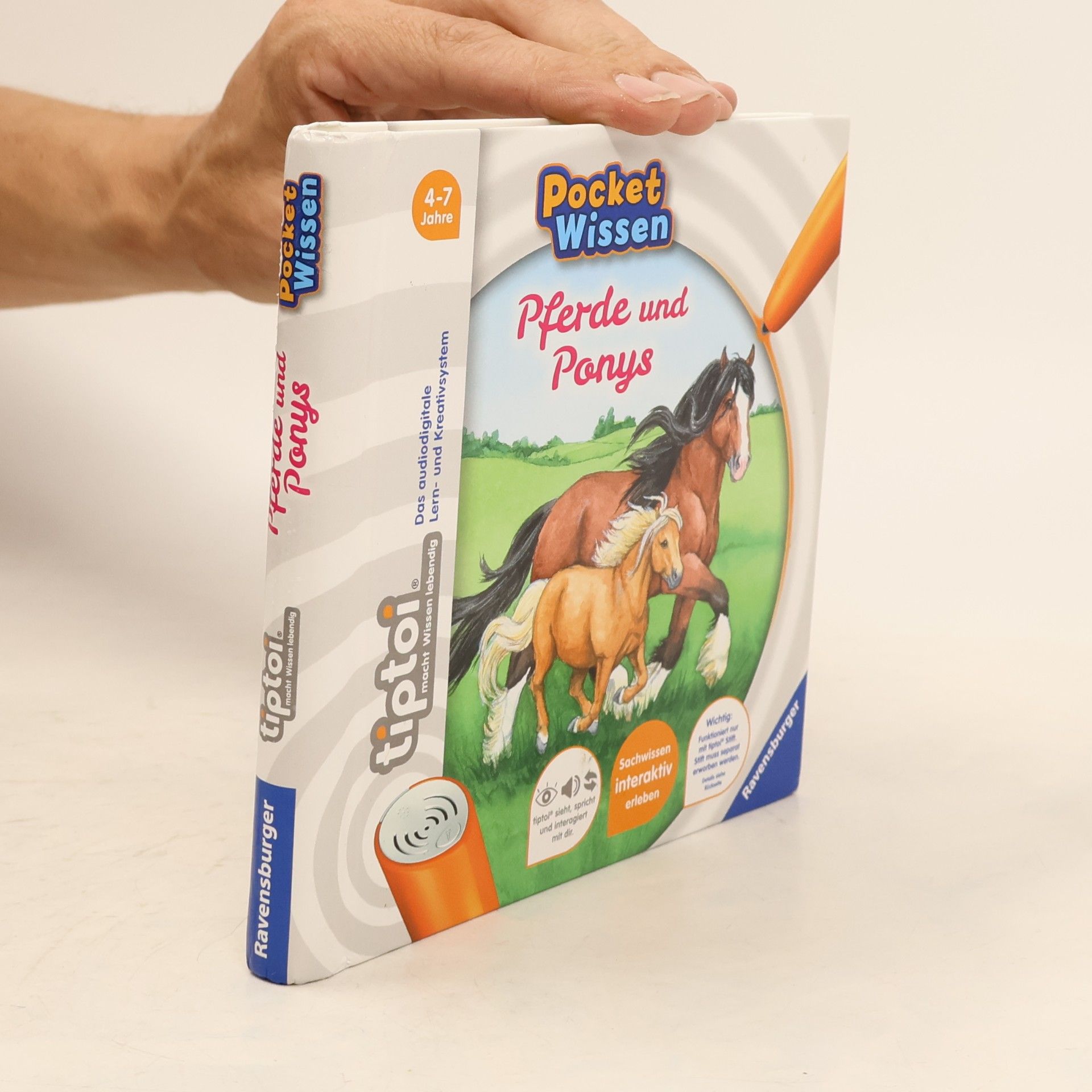 Yvonne Follert Pferde und Ponys