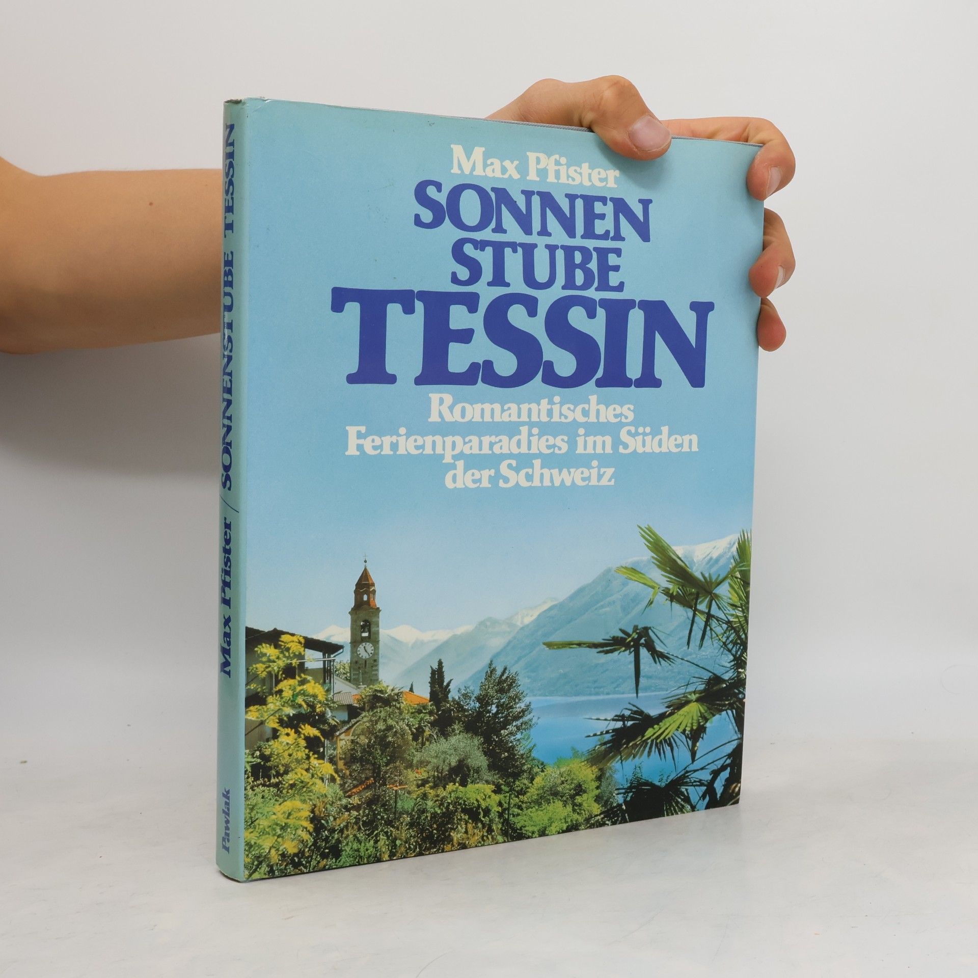 Max Pfister Sonnen stube Tessin