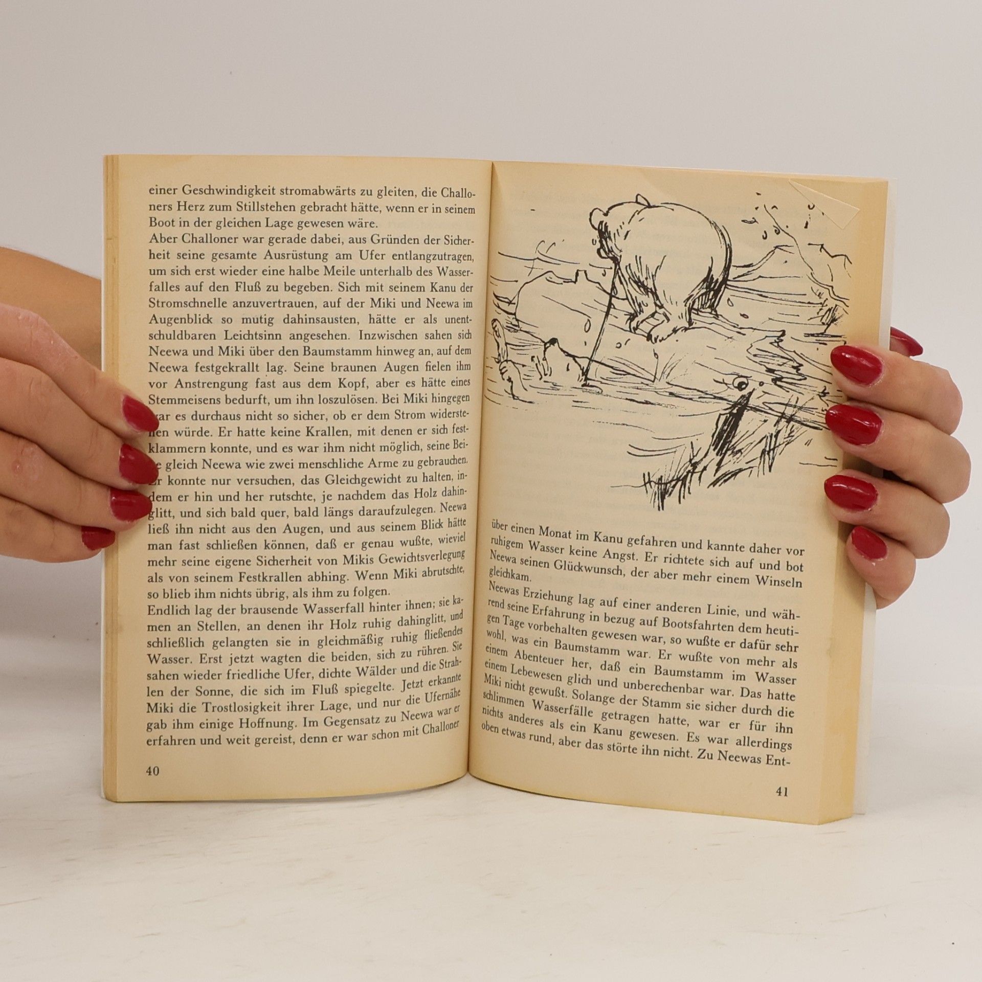 Georg Steinbacher Knaurs Vogelbuch
