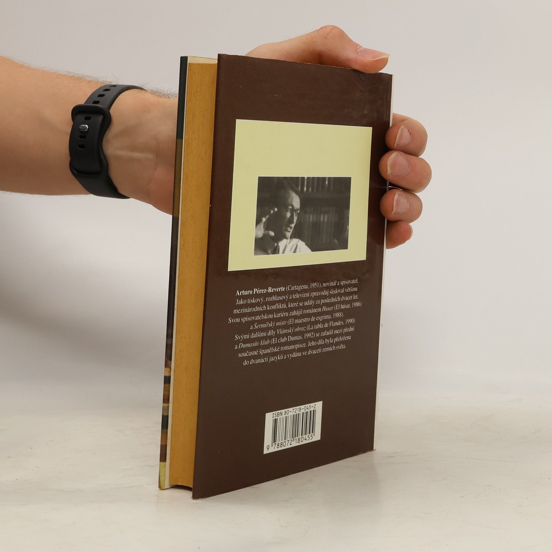 Arturo Pérez-Reverte Vlámský obraz