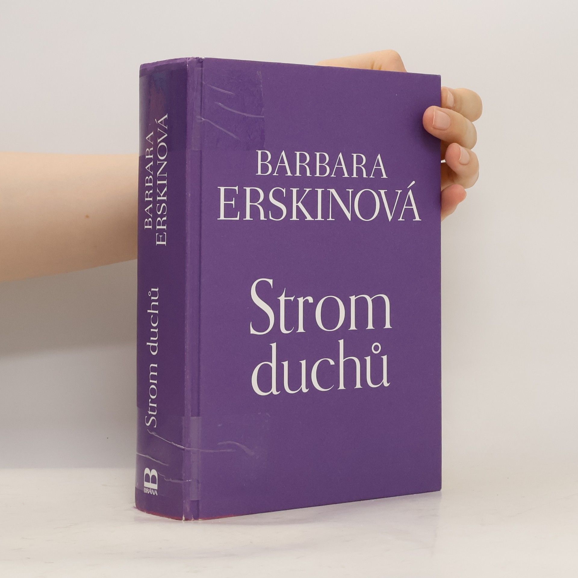 Barbara Erskine Strom duchů