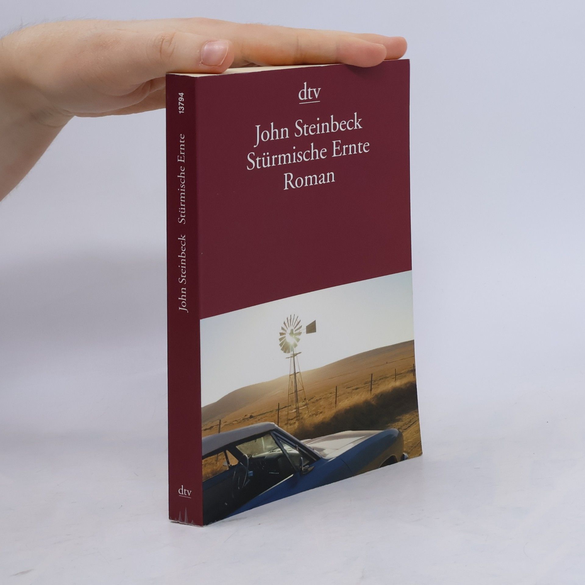 John Steinbeck Stürmische Ernte