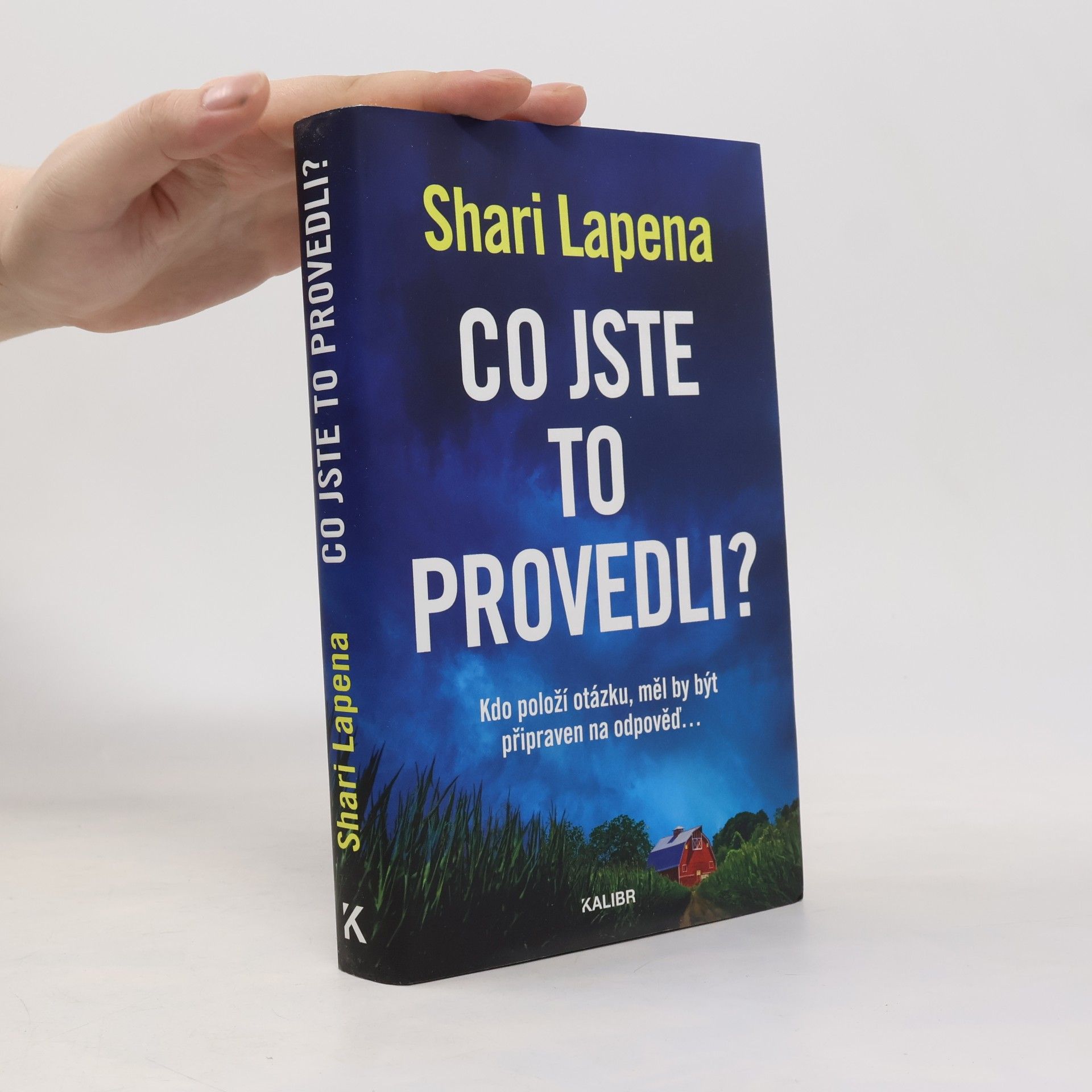 Shari Lapena Co jste to provedli?