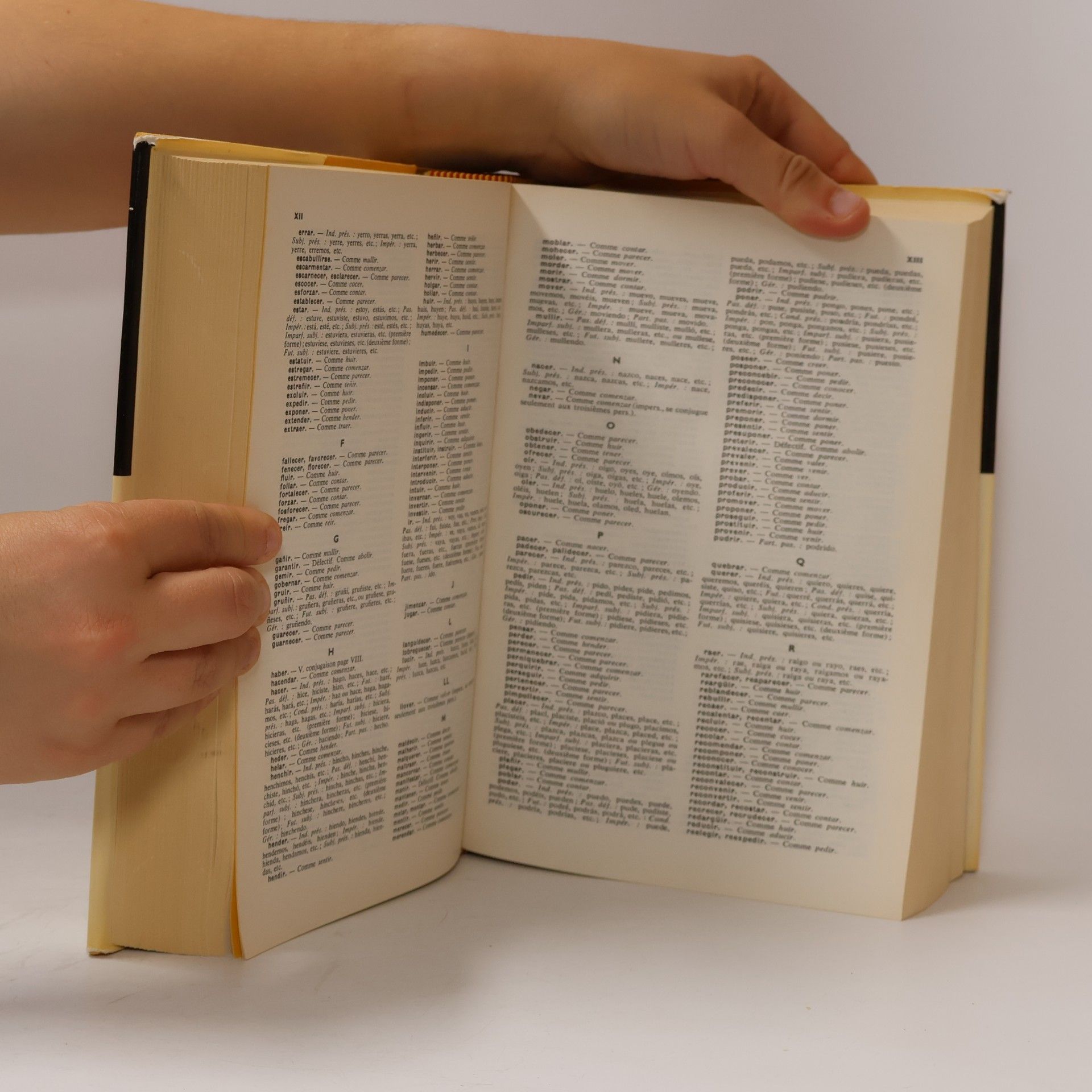 Ramón García-Pelayo y Gross Dictionnaire moderne français-espagnol