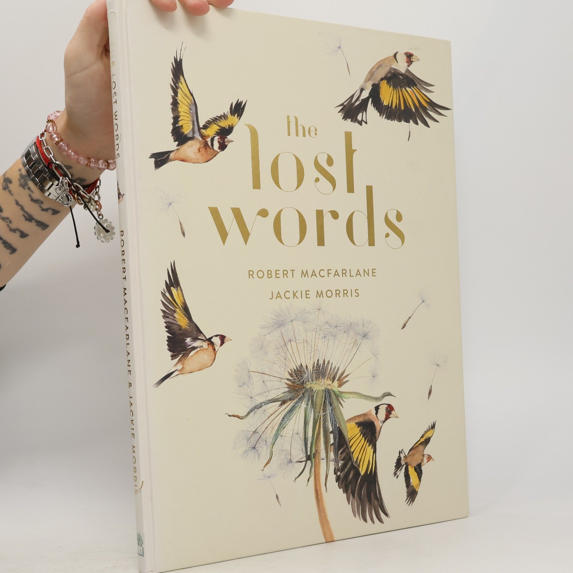 Robert McFarlane The Lost Words