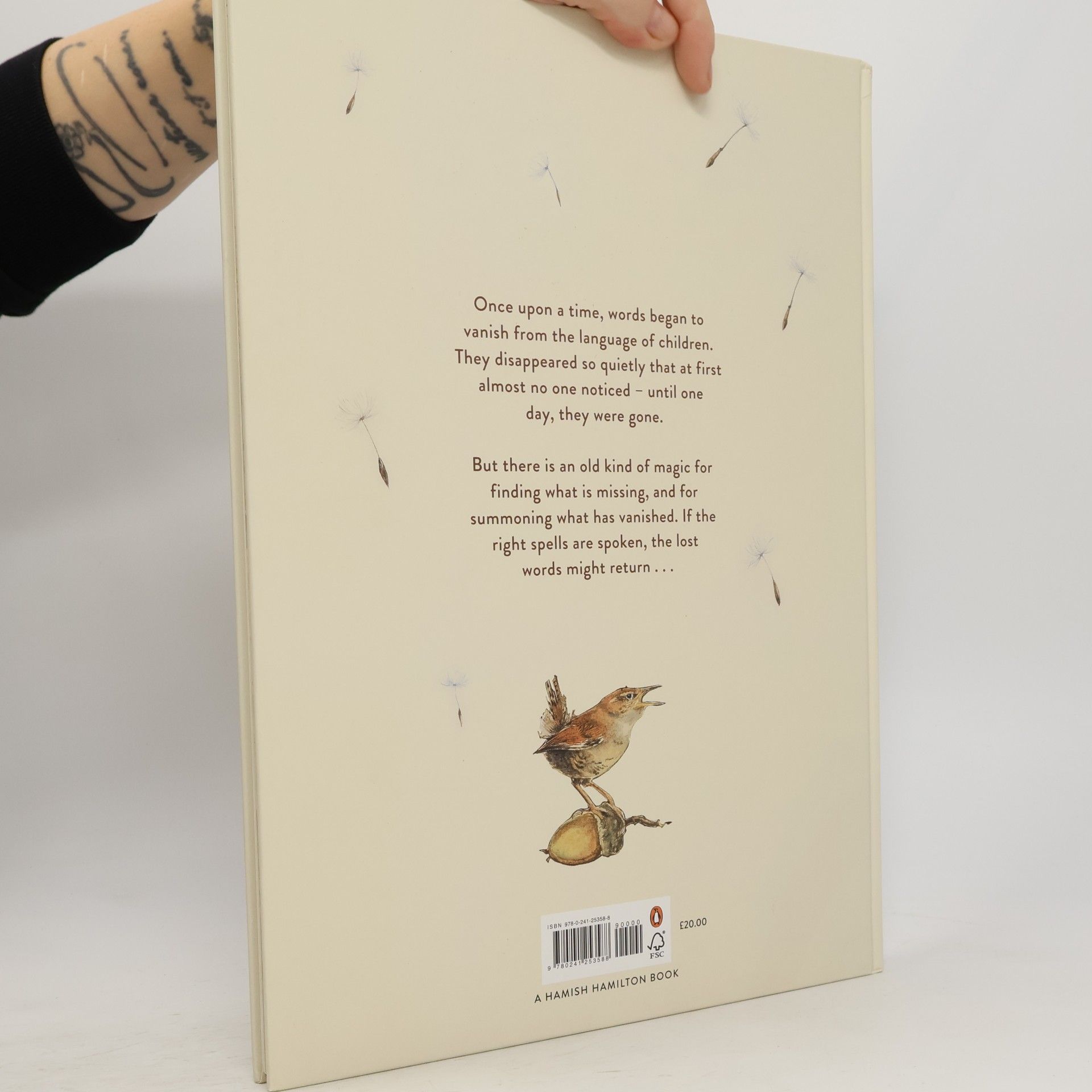 Robert Macfarlane The Lost Words