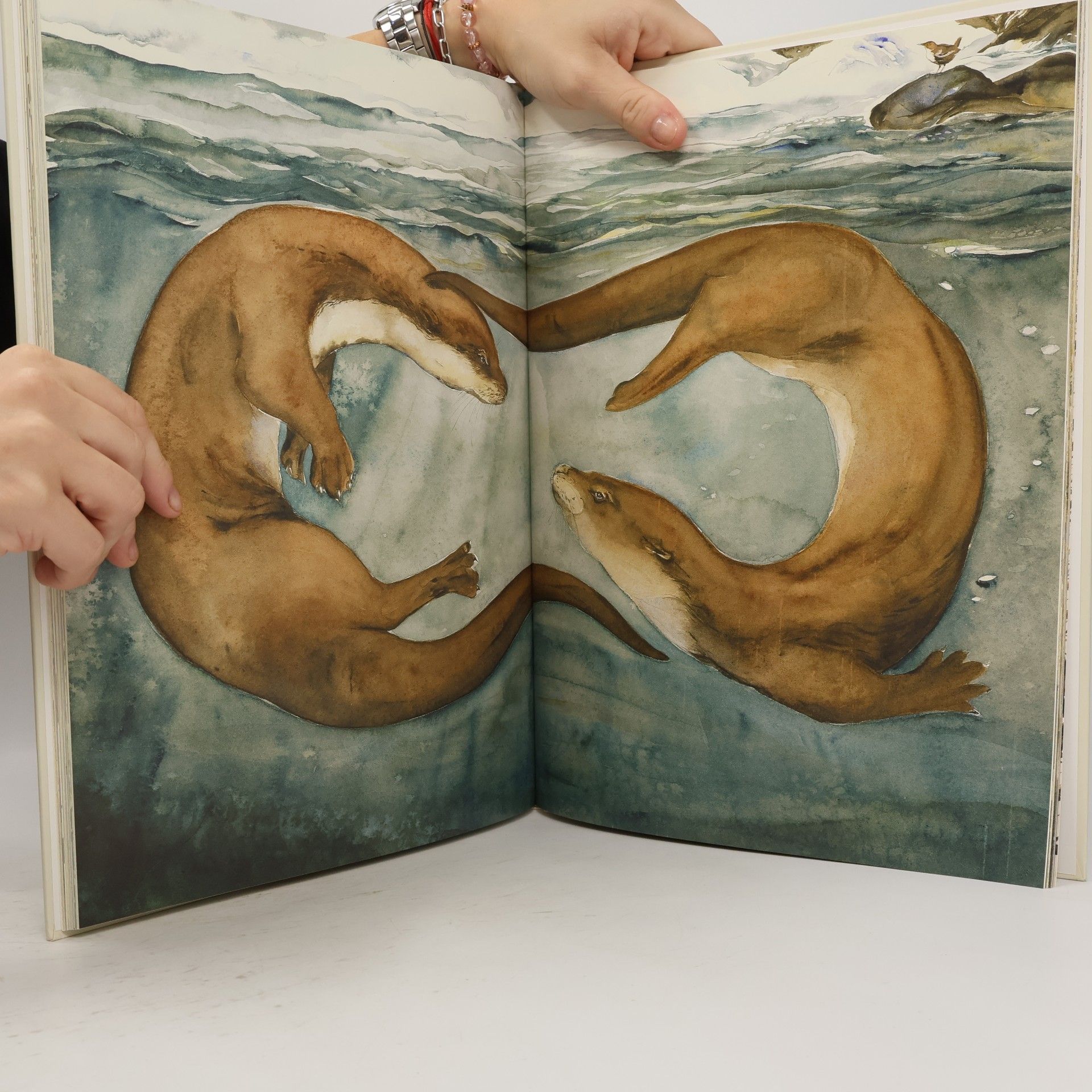 Robert Macfarlane The Lost Words