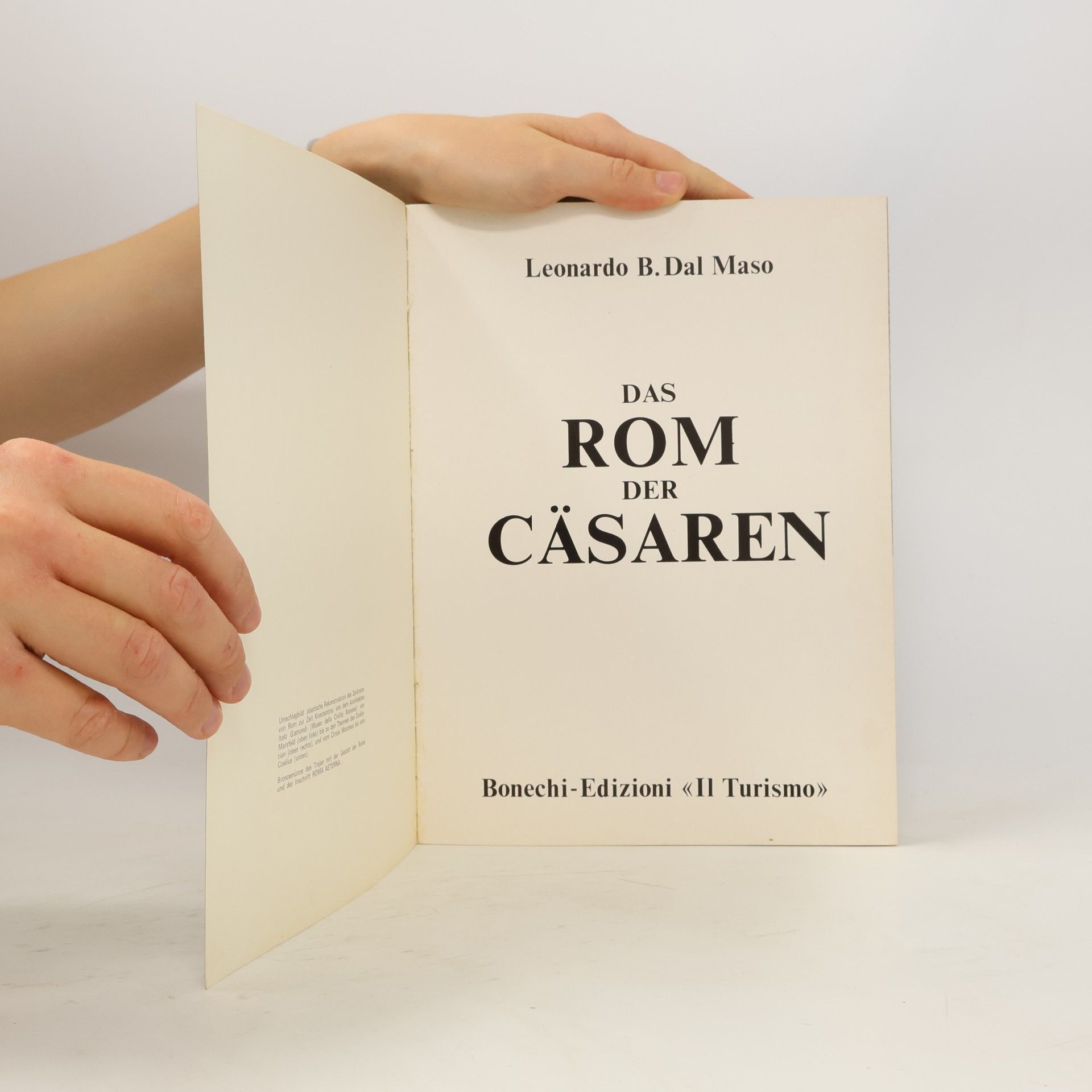 Kolektiv autorů Das Rom der Cäsaren