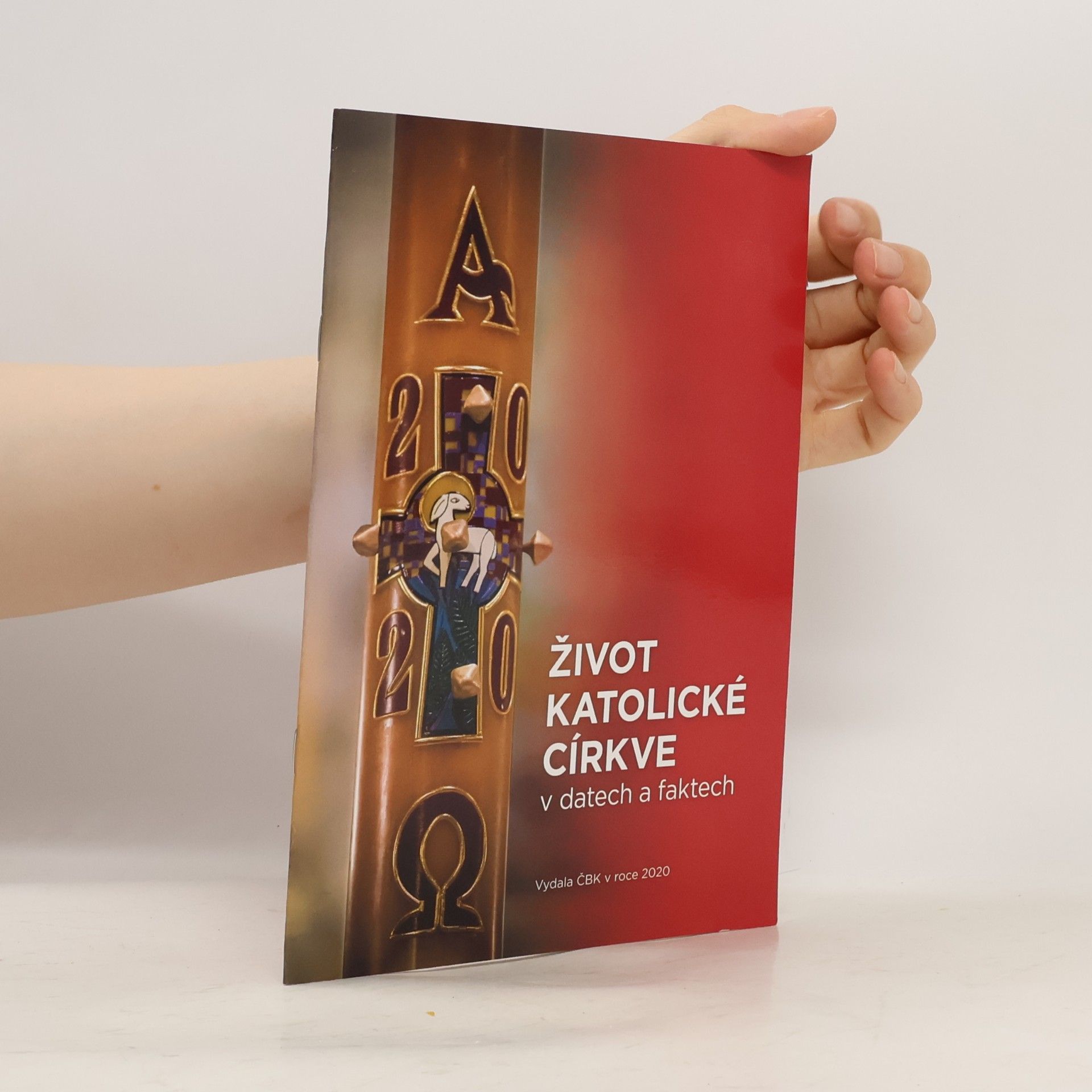 Kolektiv autorů Život katolické církve v datech a faktech