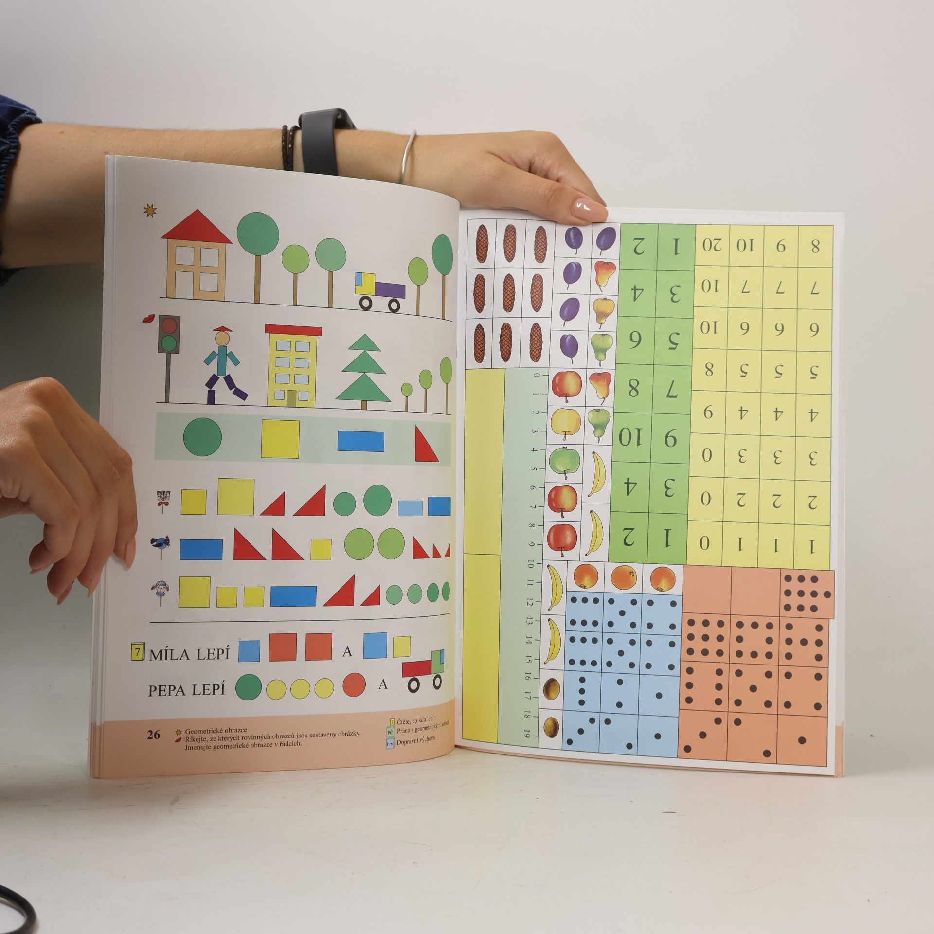 Zdena Rosecká Matematika pro 1. ročník základní školy (1. díl)