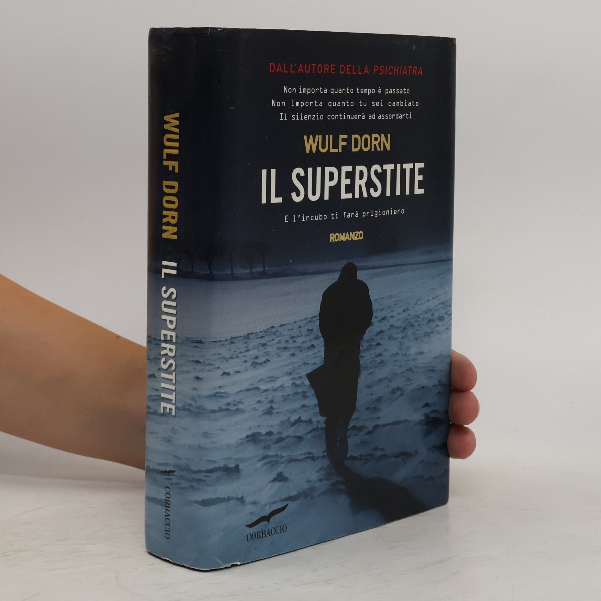Wulf Dorn Il superstite