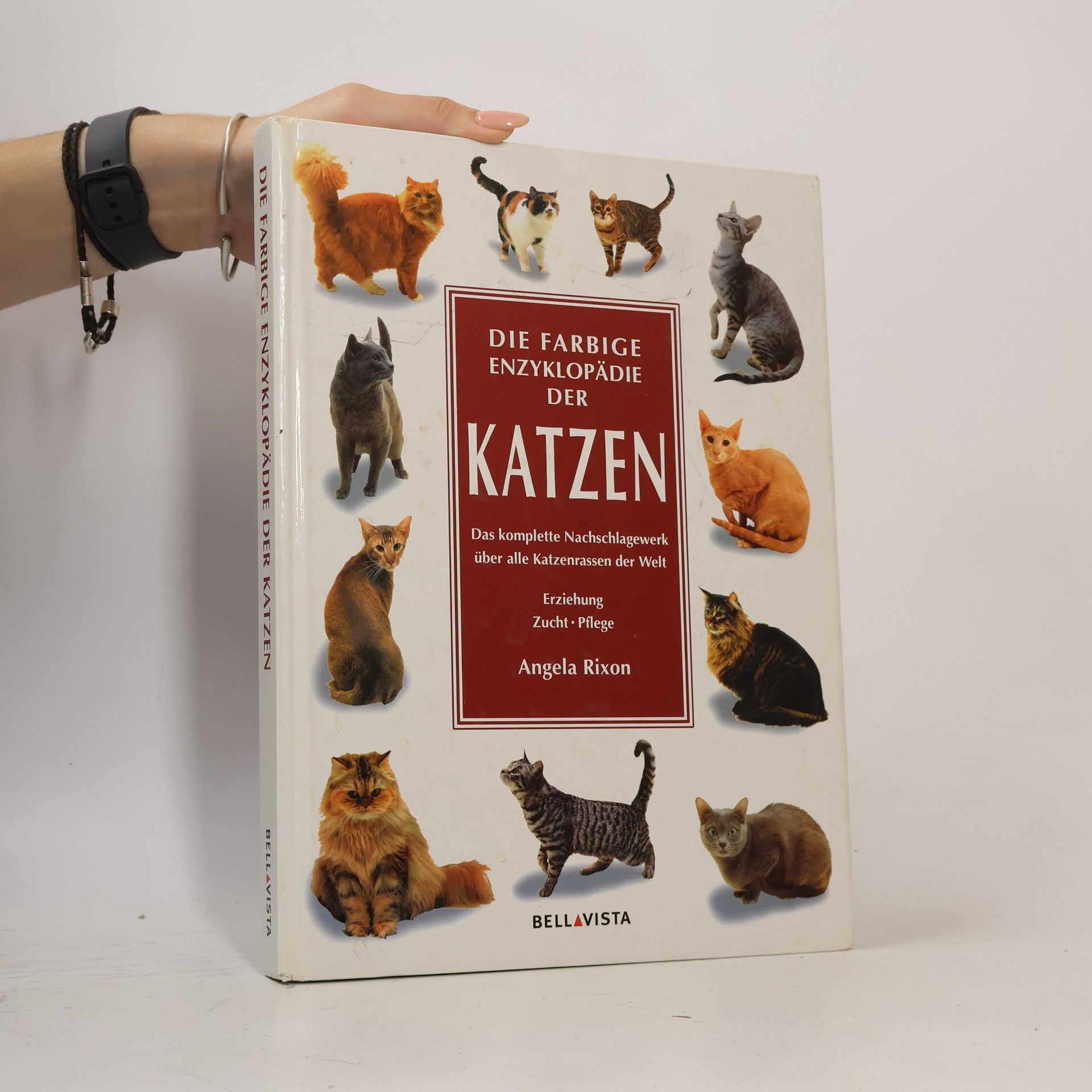 Angela Rixon Die farbige Enzyklopadie der Katzen